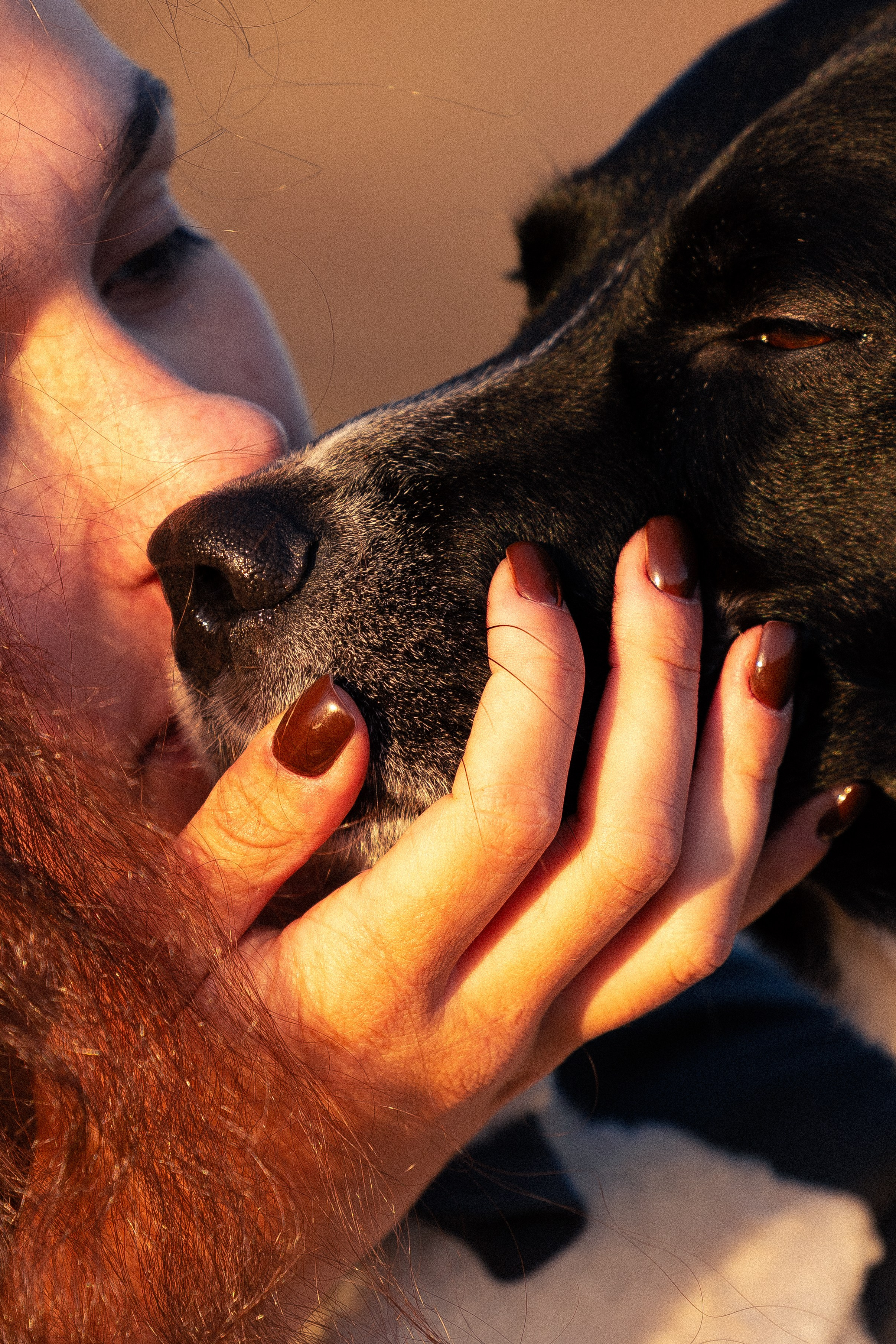 Кольский. Фотограф и видеограф анималист Аганина Дарья