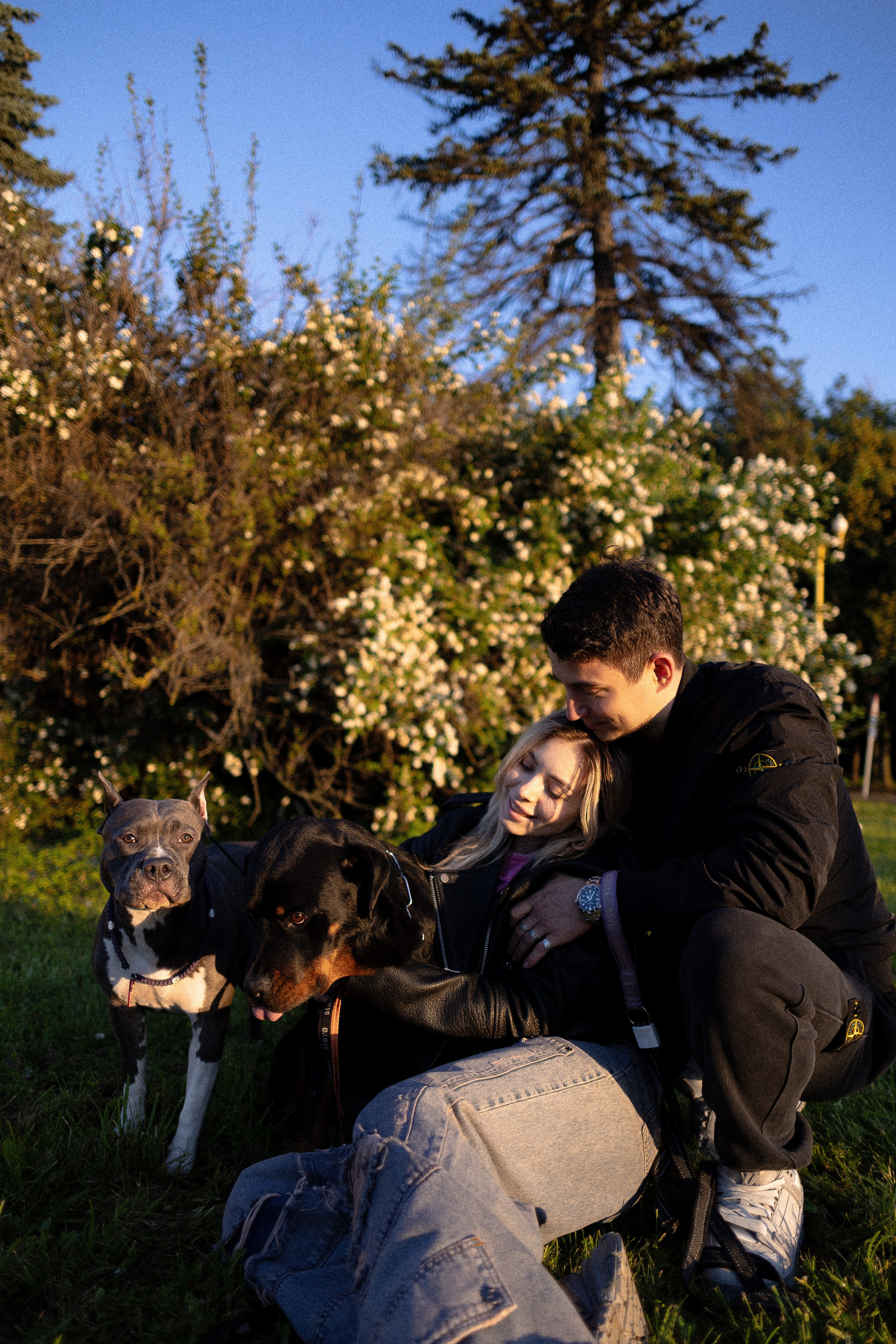 Катя, Леша, Лея и Трой. Фотограф и видеограф анималист Аганина Дарья