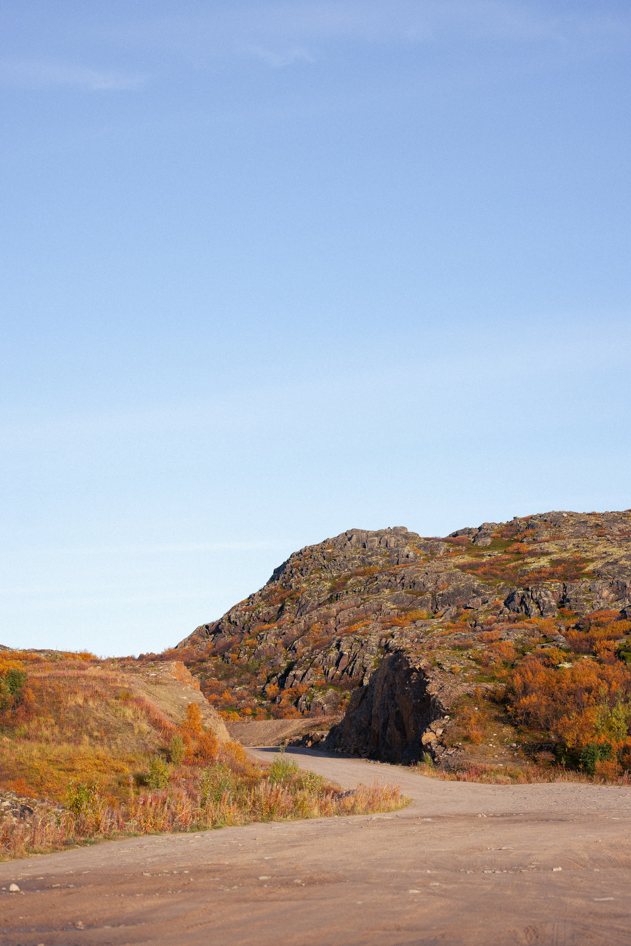 Кольский. Фотограф и видеограф анималист Аганина Дарья