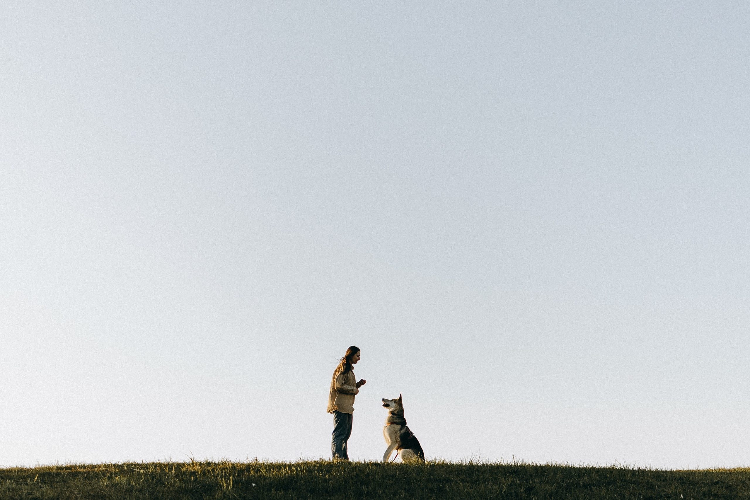 Саша и Зельда. Фотограф — Анималист | Санкт-Петербург