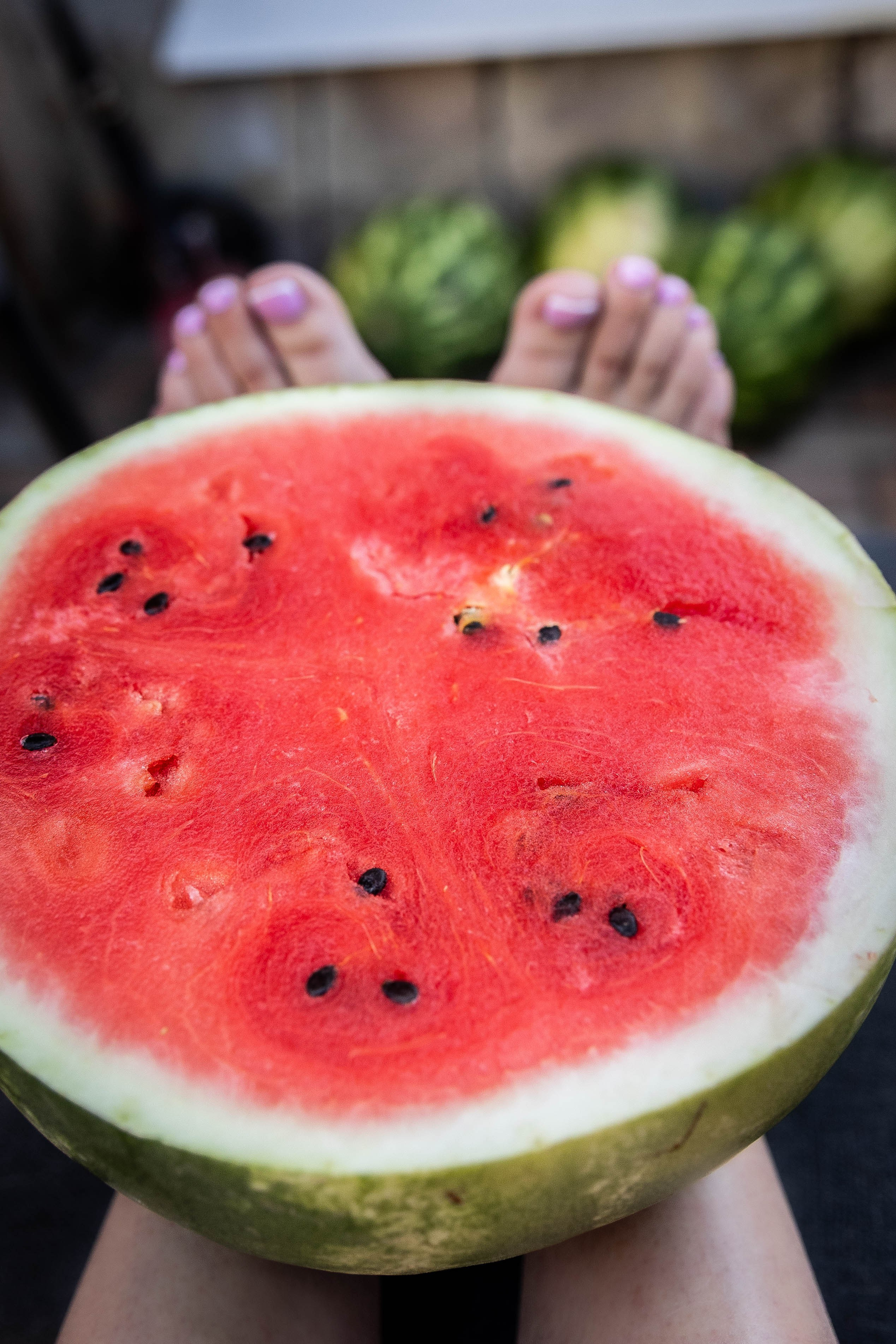 ОЛЬГИНИЯ. Фотограф-АниМалист Анна Абрамова