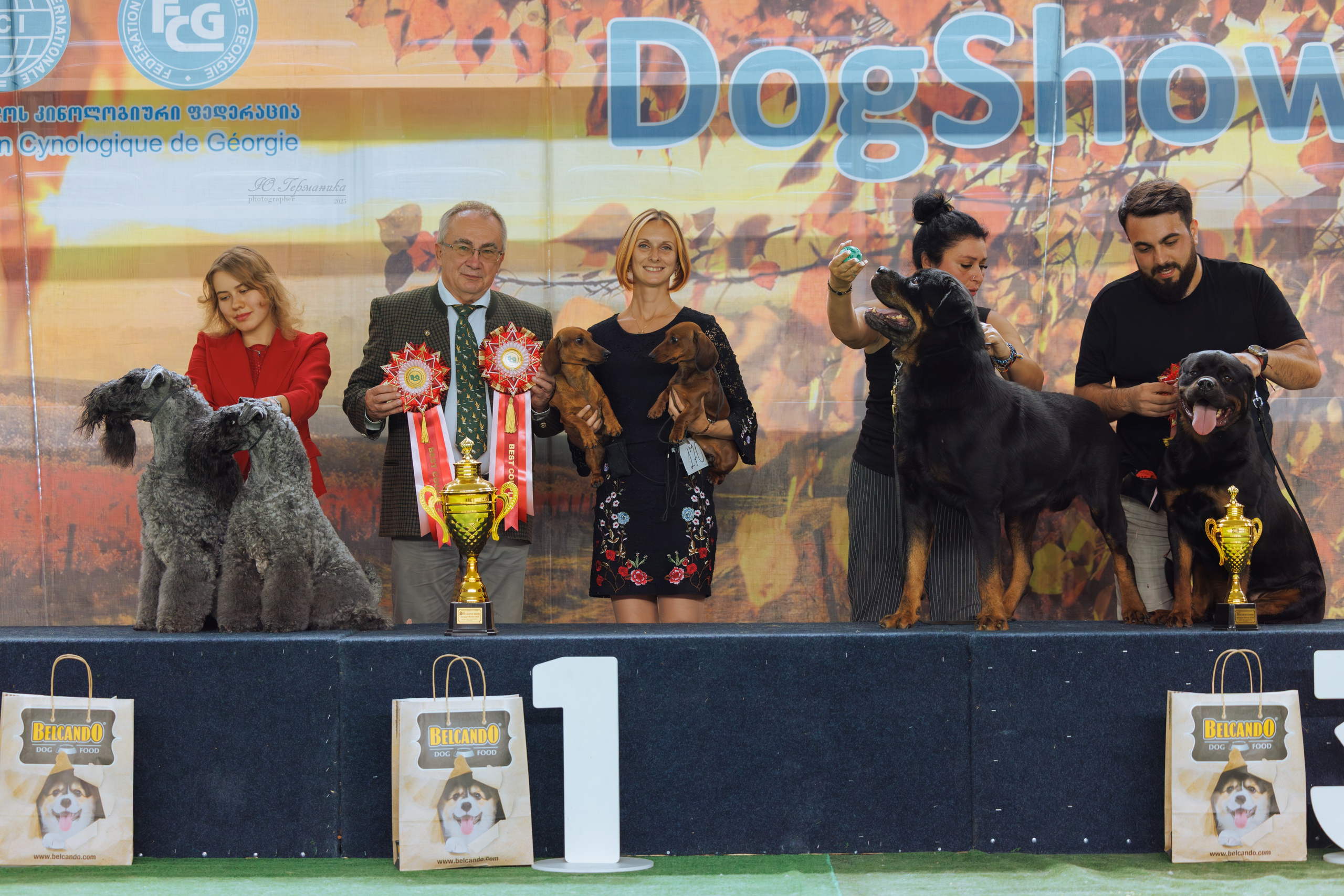 Телави 11-12.10.2025. Фотограф-анималист Юлия Германика