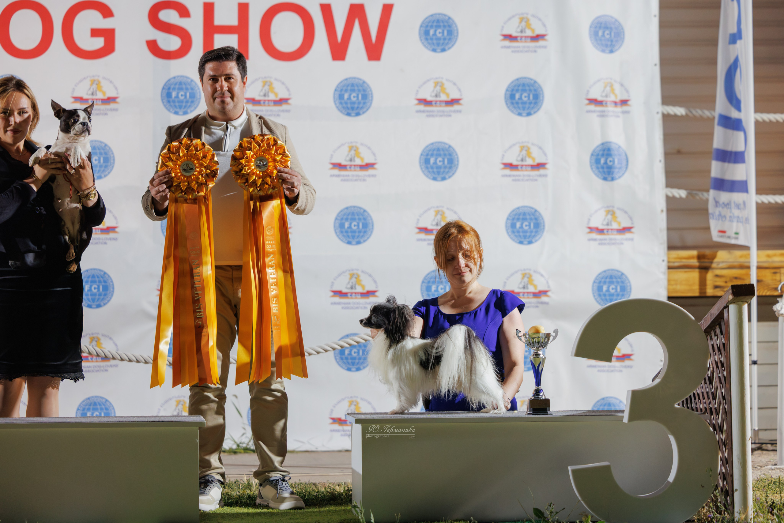 Ереван 3хCACIB 23-25.06.2025. Фотограф-анималист Юлия Германика