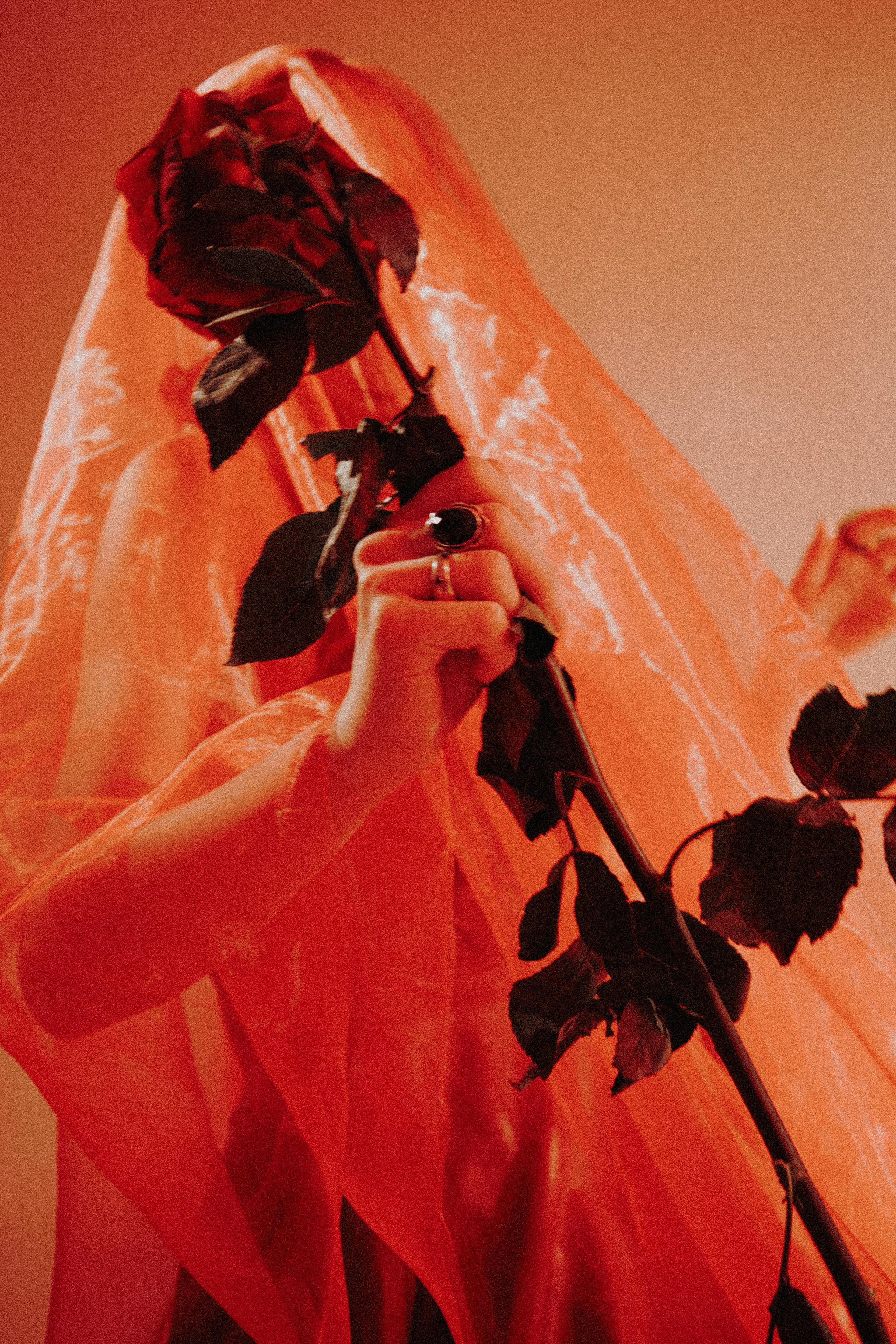 Red May I. Фотограф в Москве Ярослава Фролова