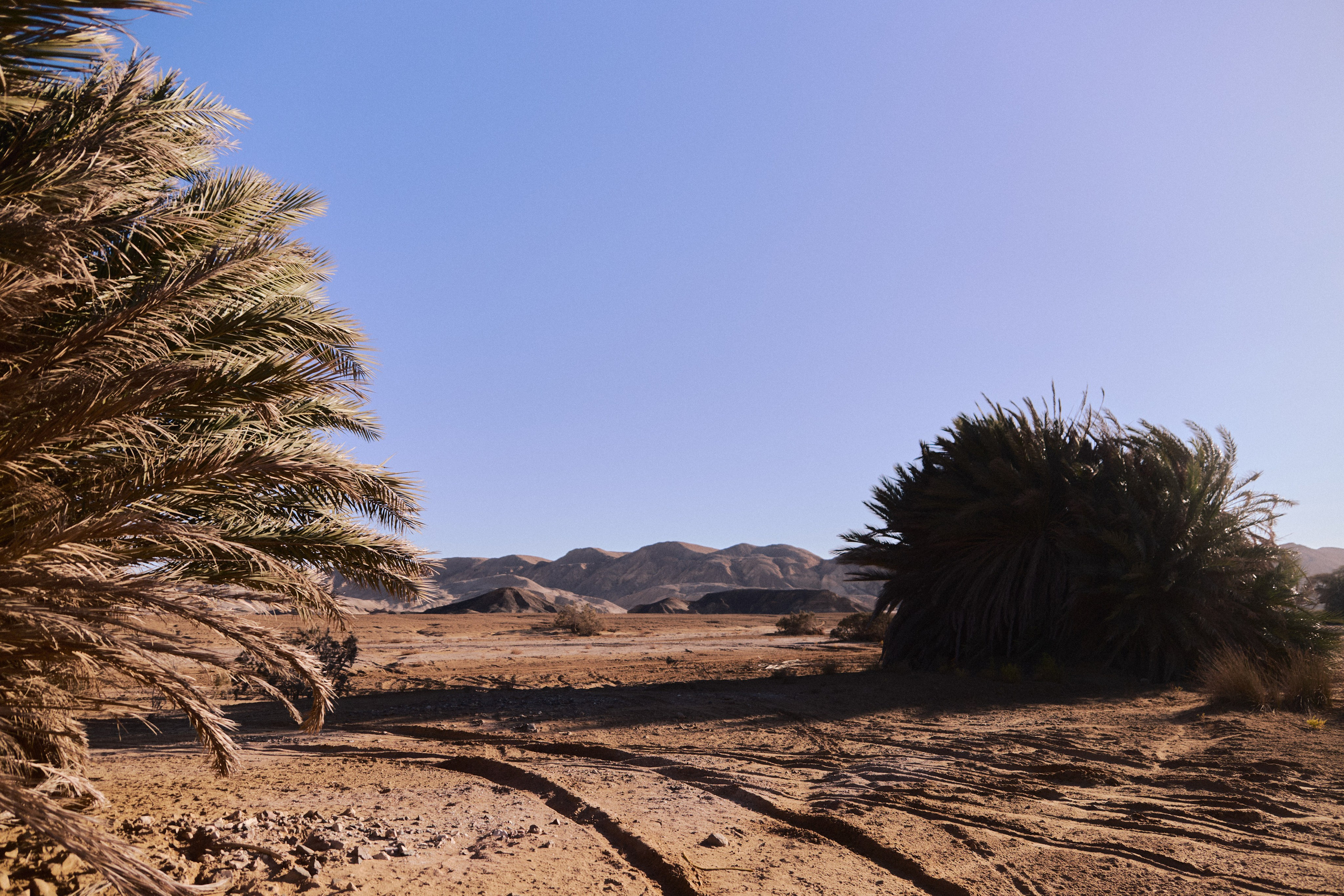Улица горизонтальная. Jorgis — фотограф в Хургаде / обучение фотографии