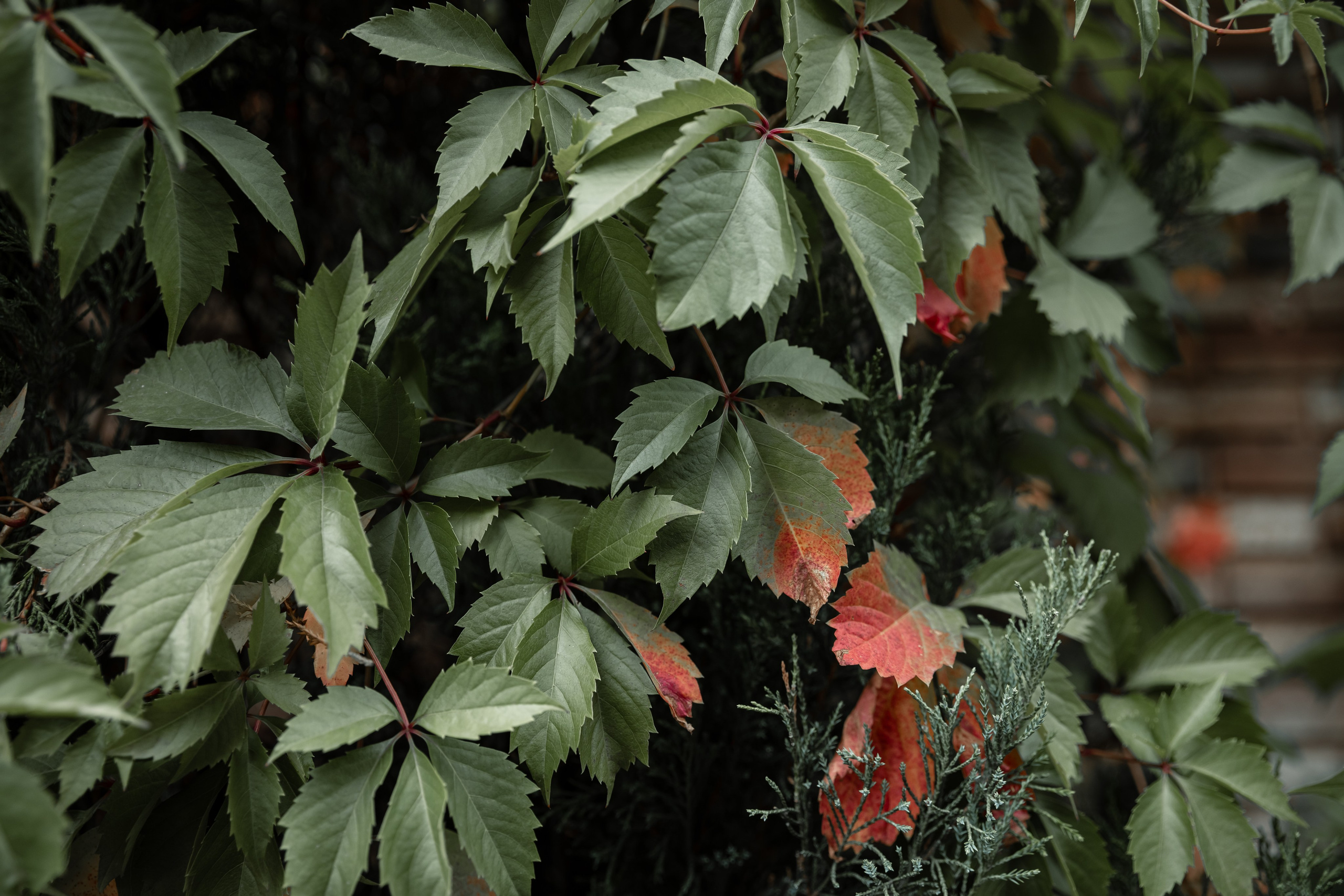 Премиальный клуб ABOSS | Мастер-класс в City Retreat Club. Фотограф брендов и бизнеса в Москве Алексей Сентюрин