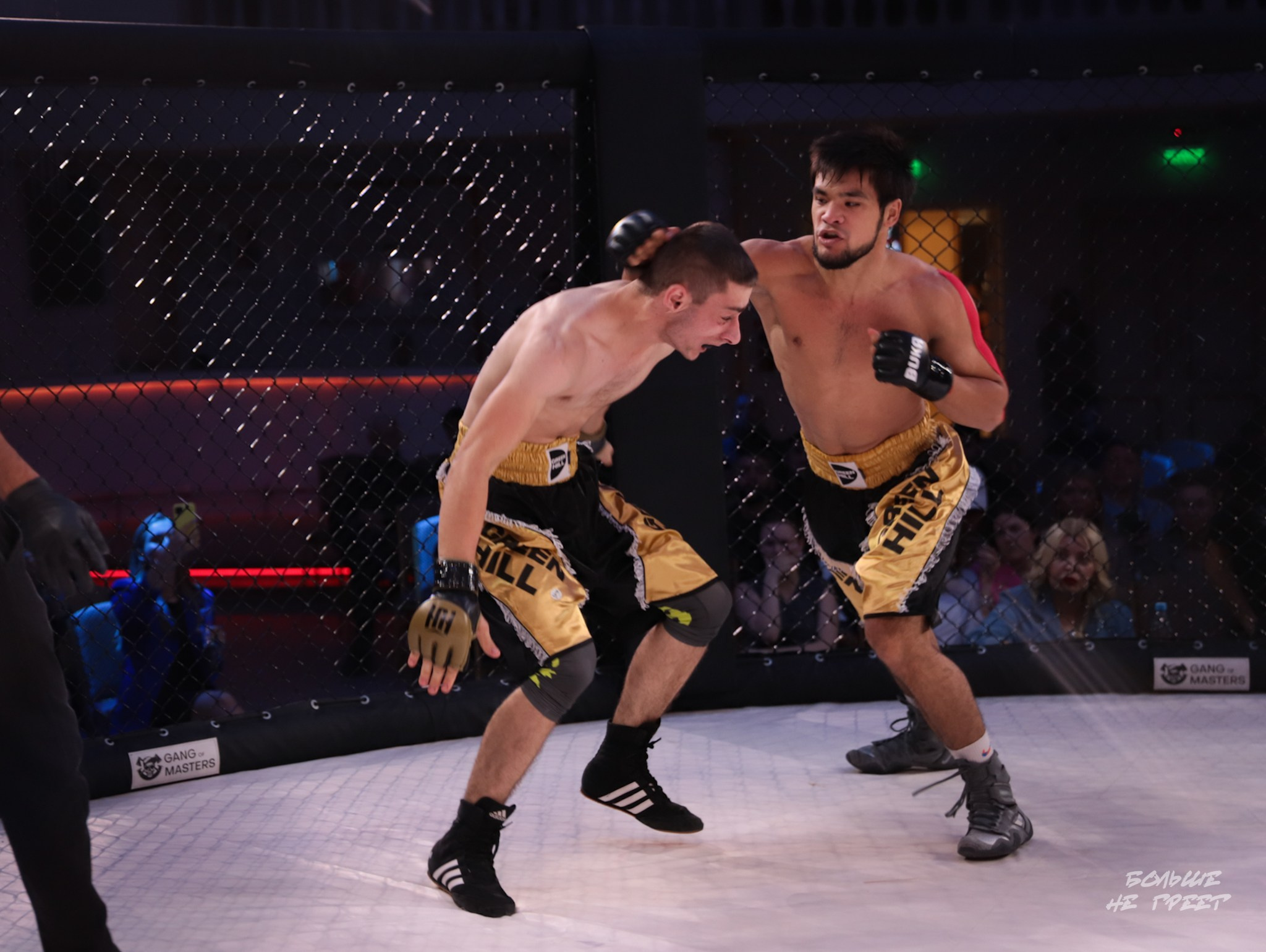 SABR FIGHTING. Больше не греет