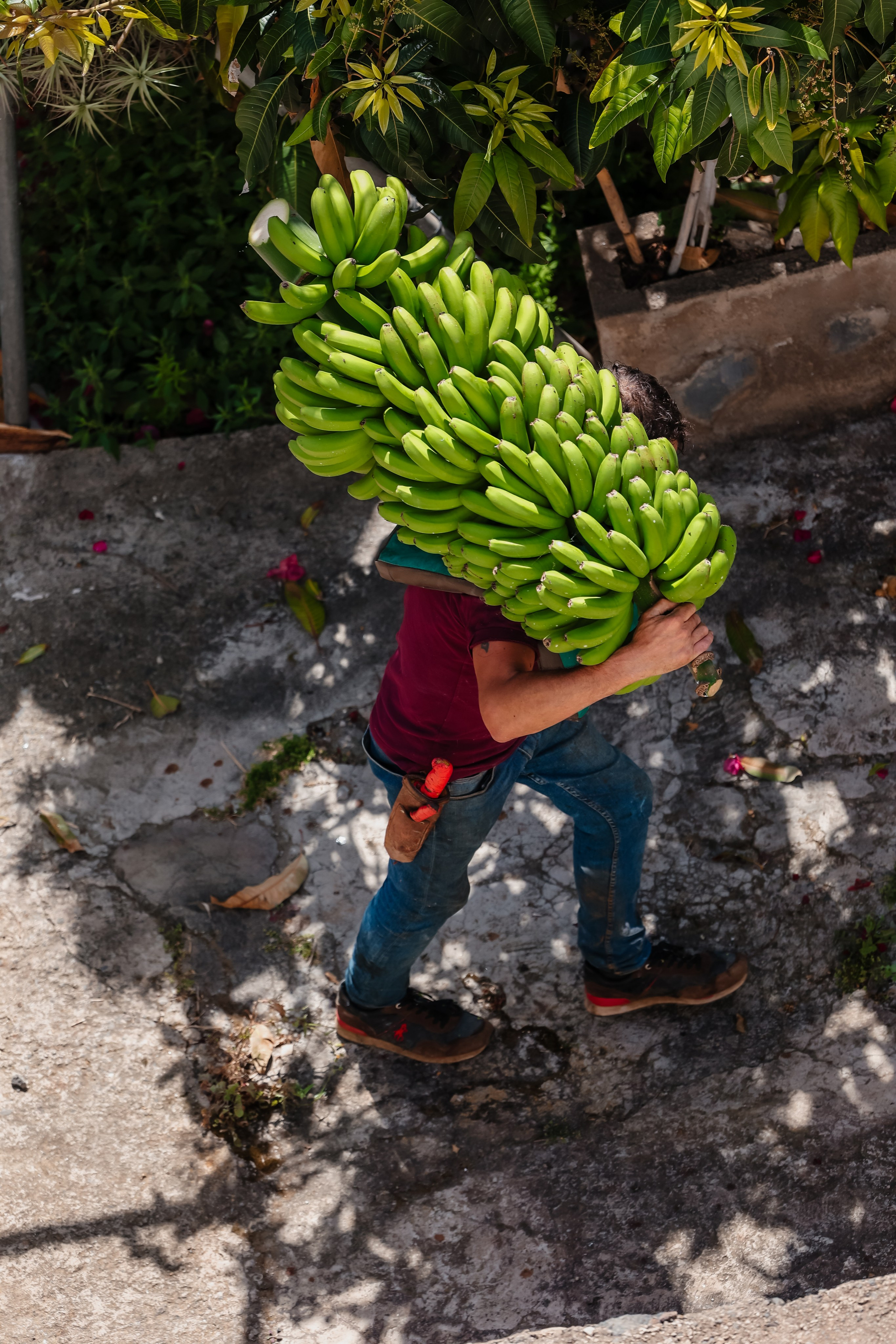 Casa Catuja. Фотограф Виктория Волкова. Москва