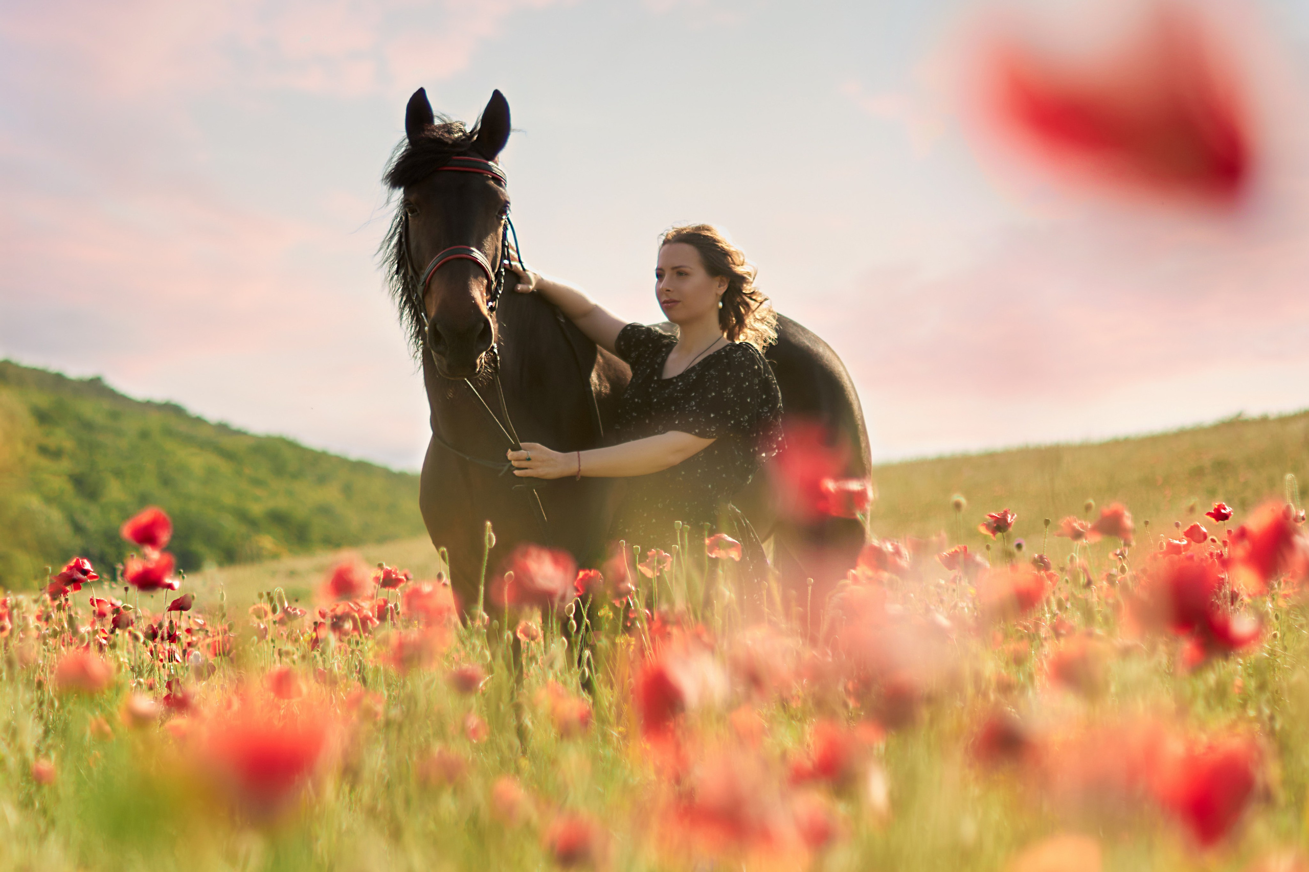 Фотосессия с лошадью Севастополь. Фотограф в Севастополе