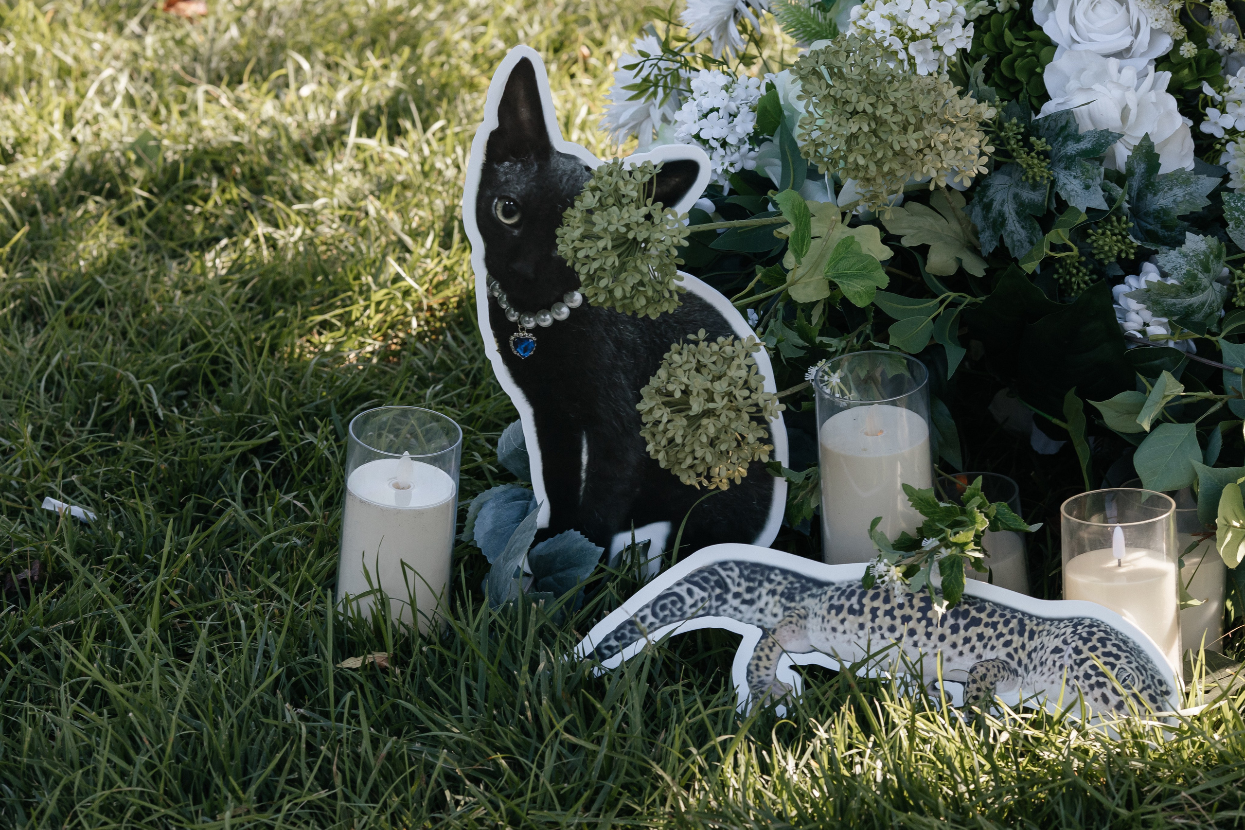 17.08.2025. Свадебный фотограф Краснодара Александр Кулагин