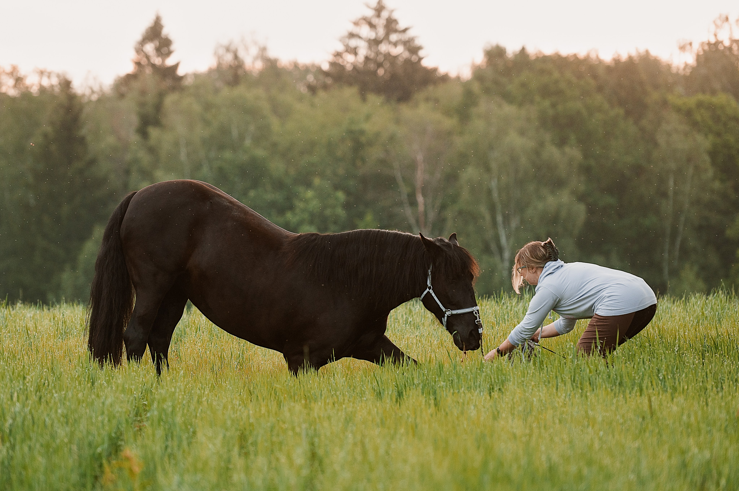 Мара. Фотограф-анималист