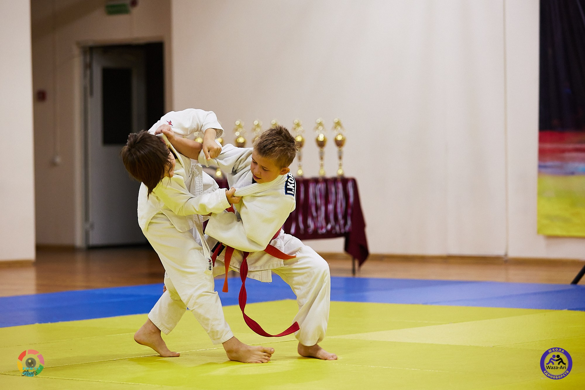 Репортаж Турнир по дзюдо. Спортивный фотограф Некрасов Денис