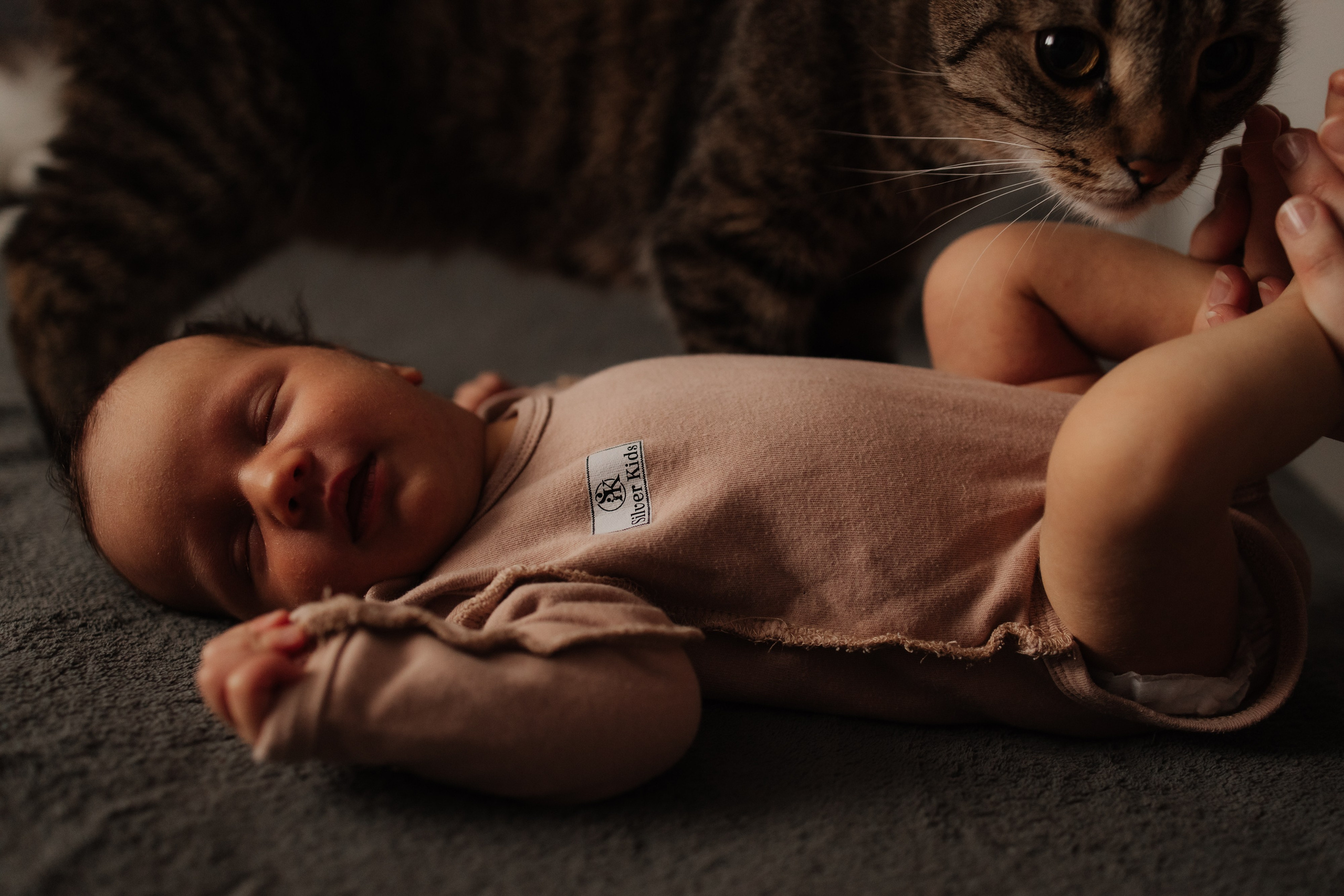 Аленушка дома. Фотограф Новосибирск