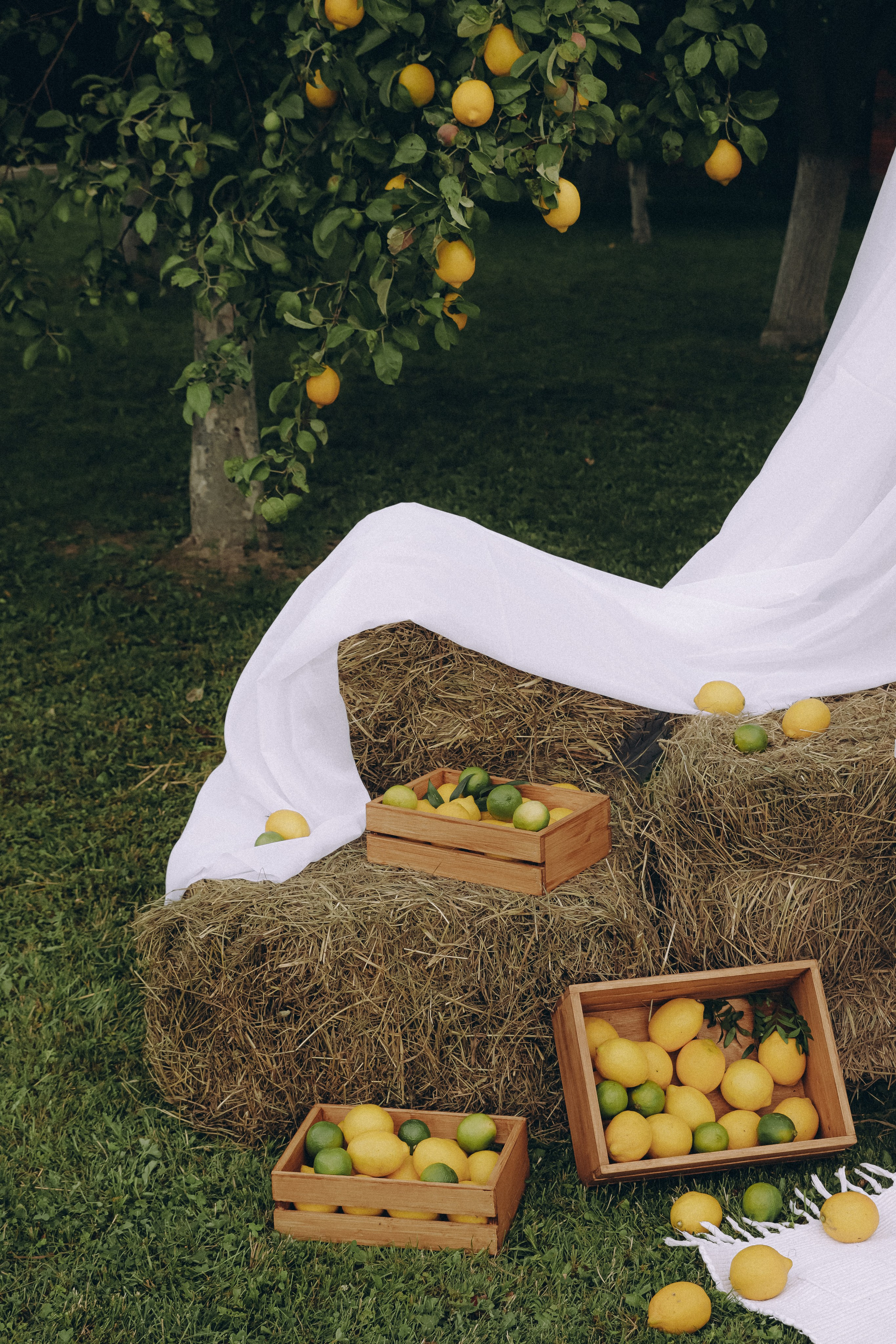 Yuri ∞ Irina. Фотограф Анна Веденеева