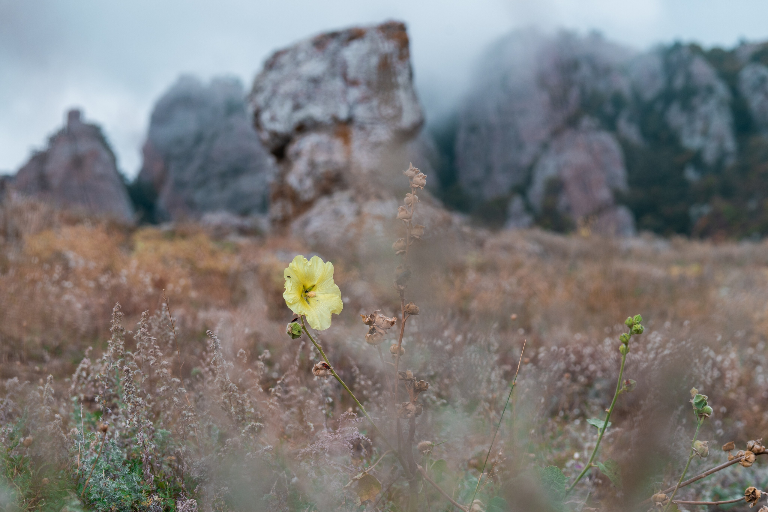 Путешествия и пейзаж. Репортажный фотограф в Красной Поляне и Сочи Павлюченко Екатерина