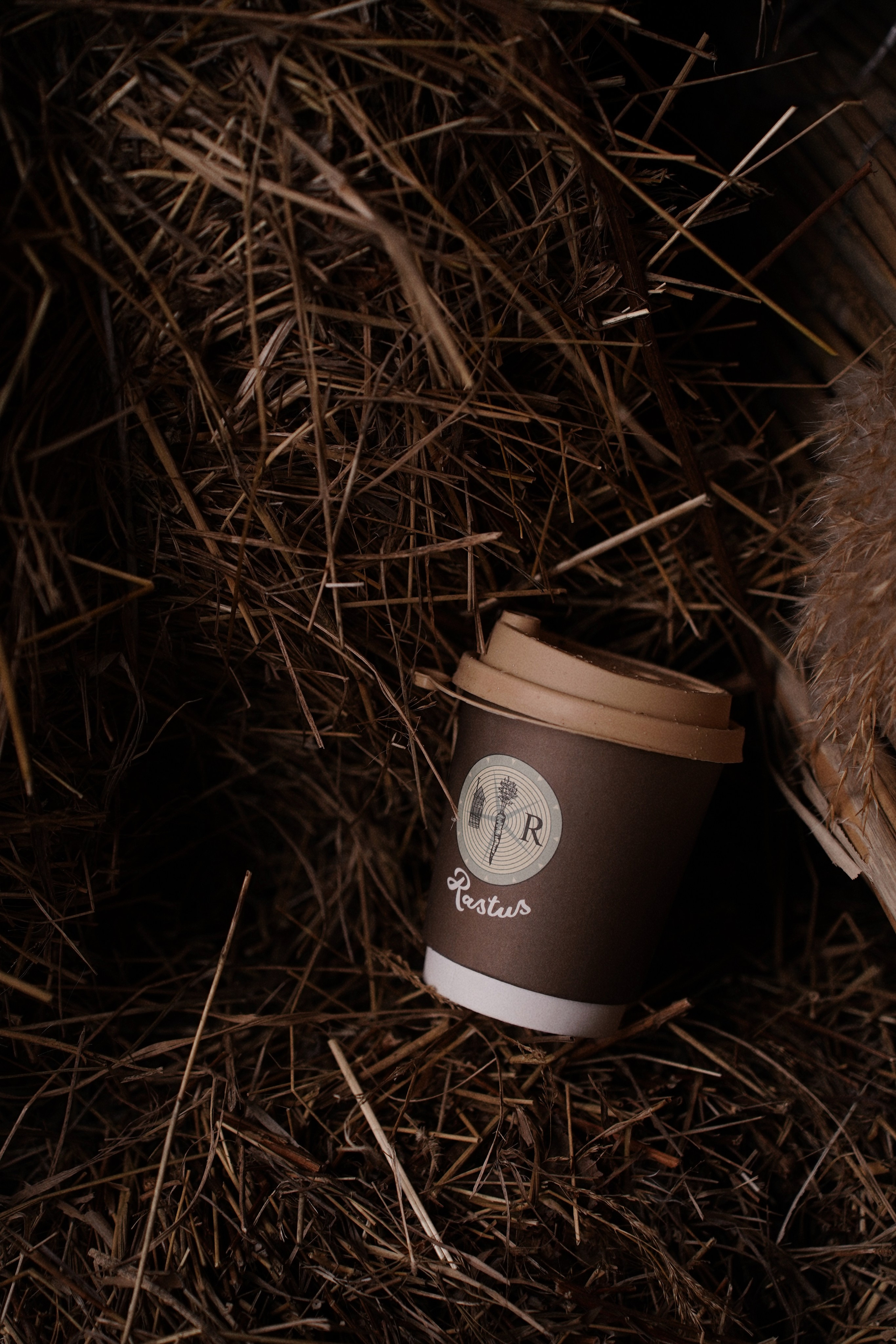 Бизнес съемки. Стильный фотограф и видеограф в Москве и Троицке