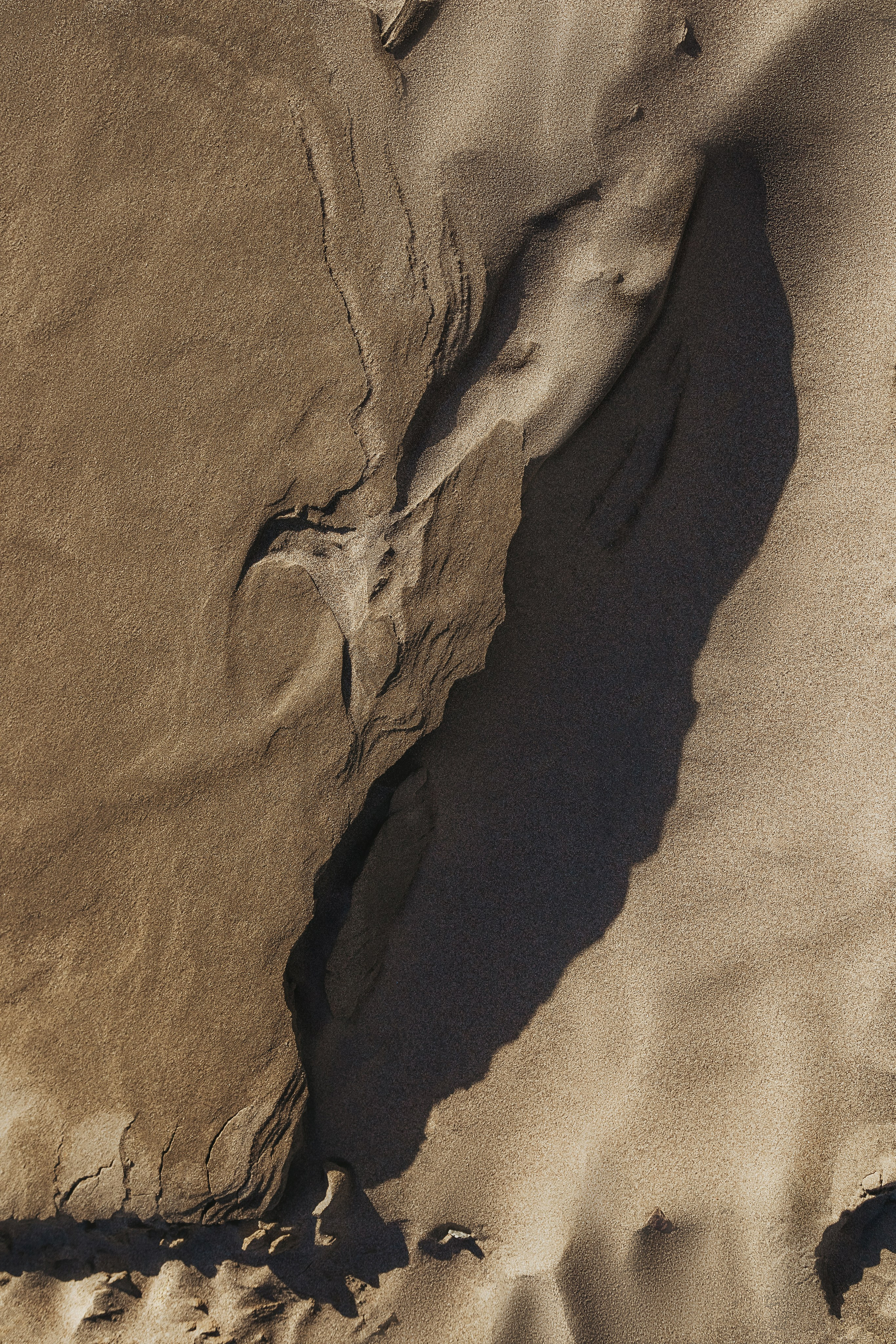 Жизнь. Фотограф Алматы | Весь мир — Никита Колодин