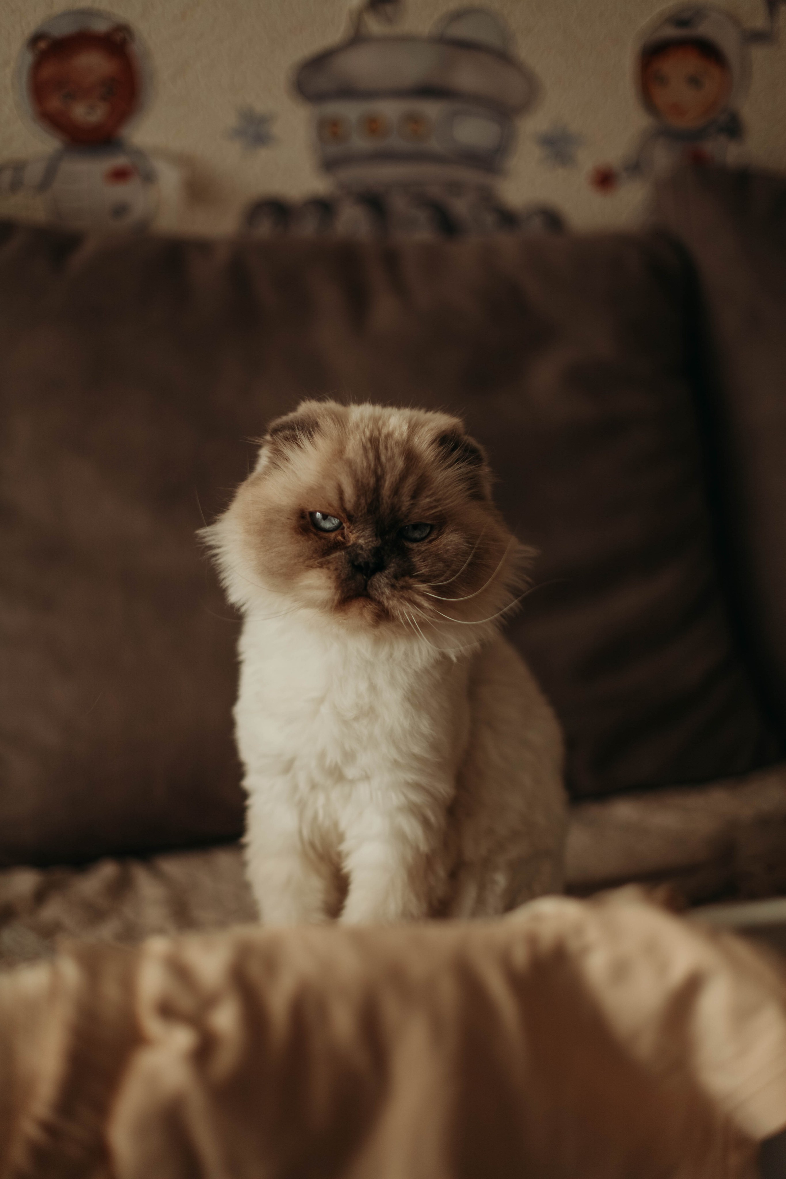 Фёдор. Семейная фотография в Санкт-Петербурге Елизавета Шепель