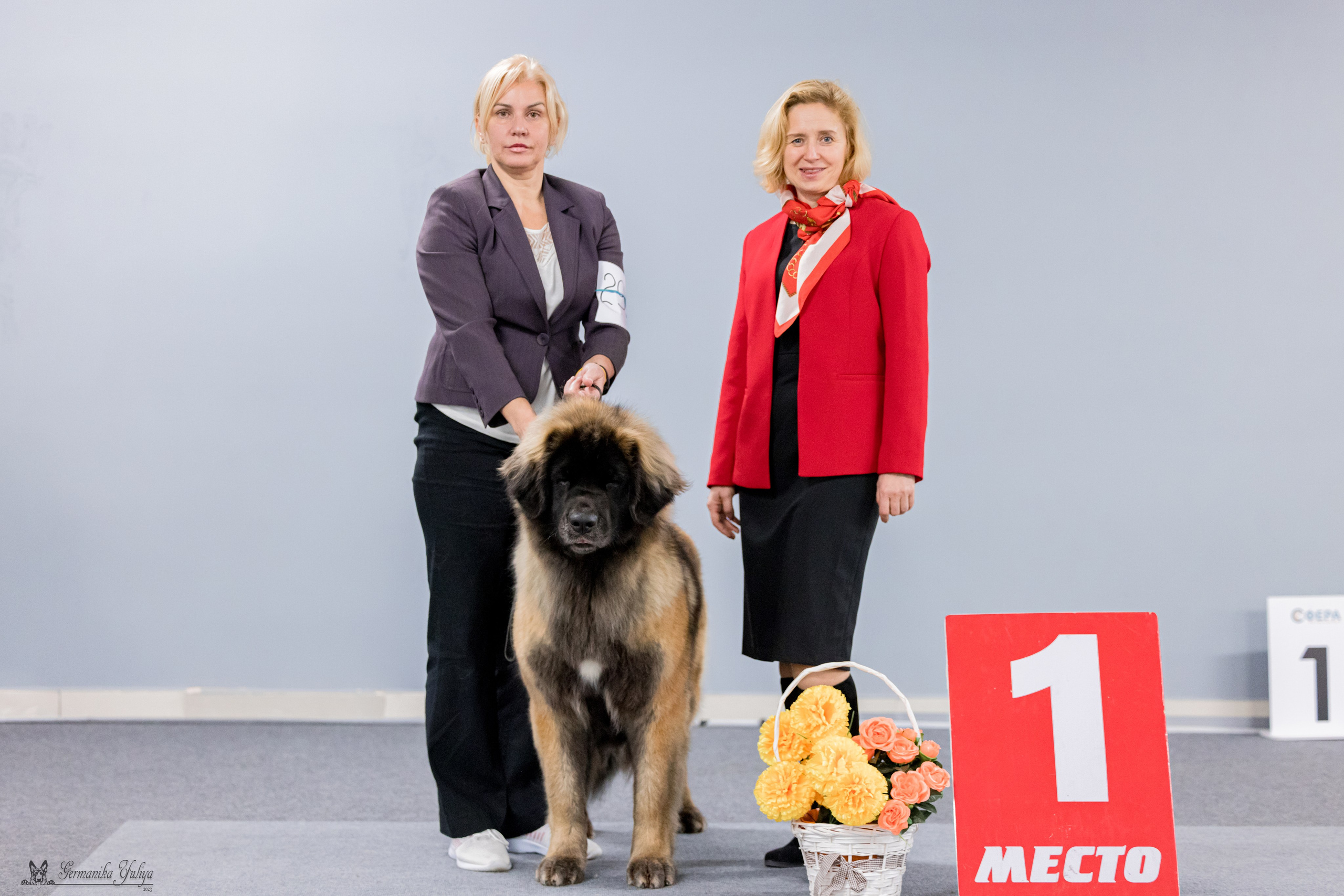 Сфера 29.10,Крокус 4.11,Сфера 12.11.2023. Фотограф-анималист Юлия Германика