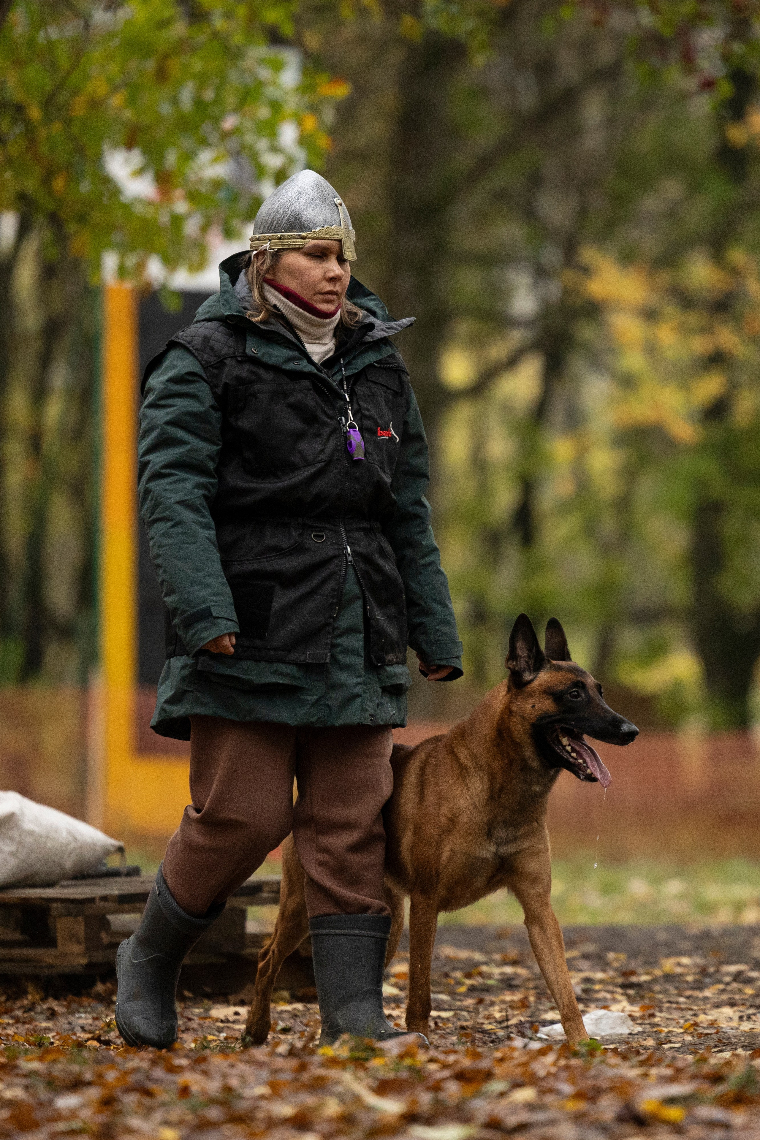 Соревнования по Мондьорингу г. Вологда. Фотограф-анималист Анна Маринич