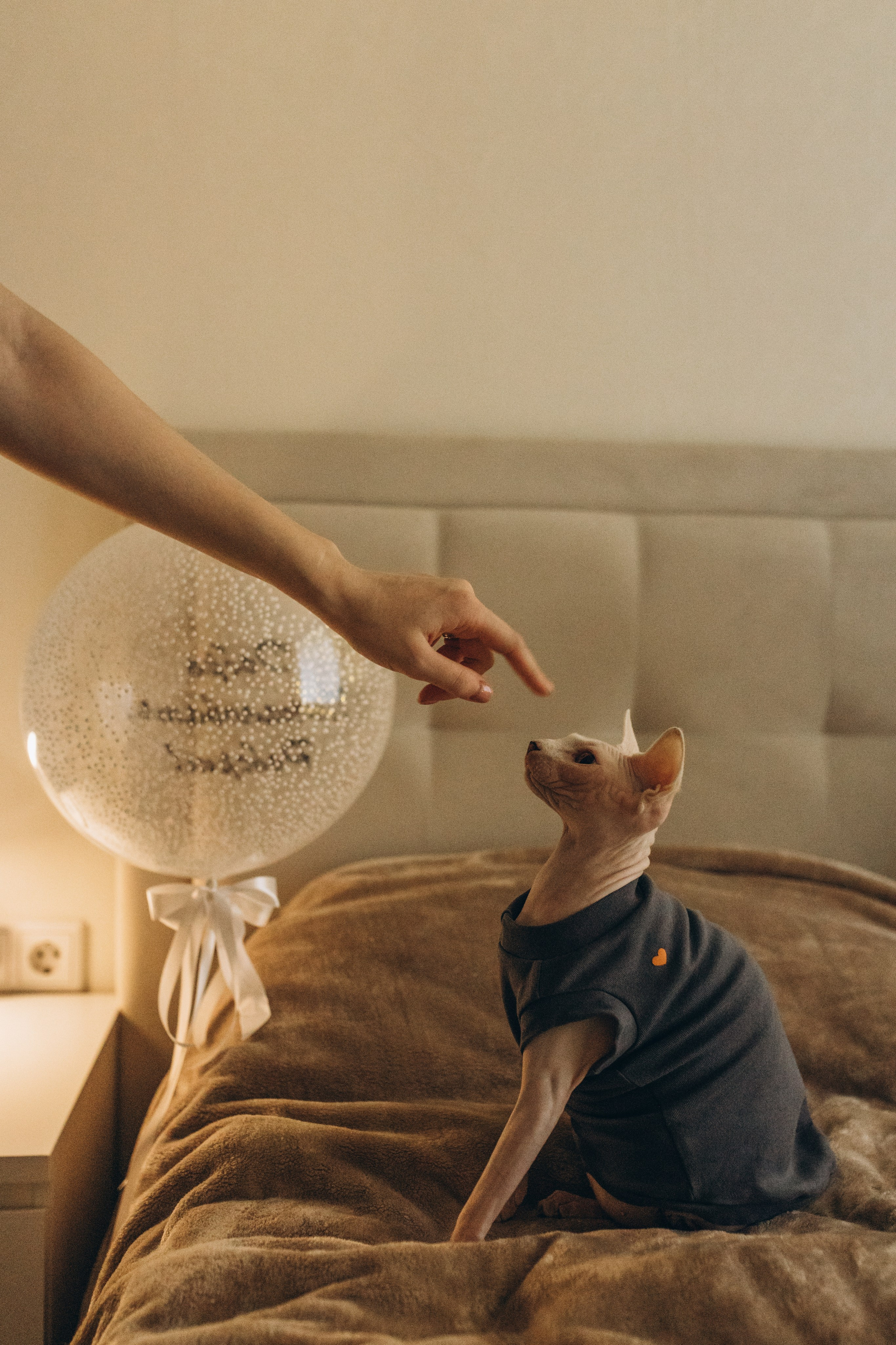 11. Семейный фотограф в Москве Жукова Анна