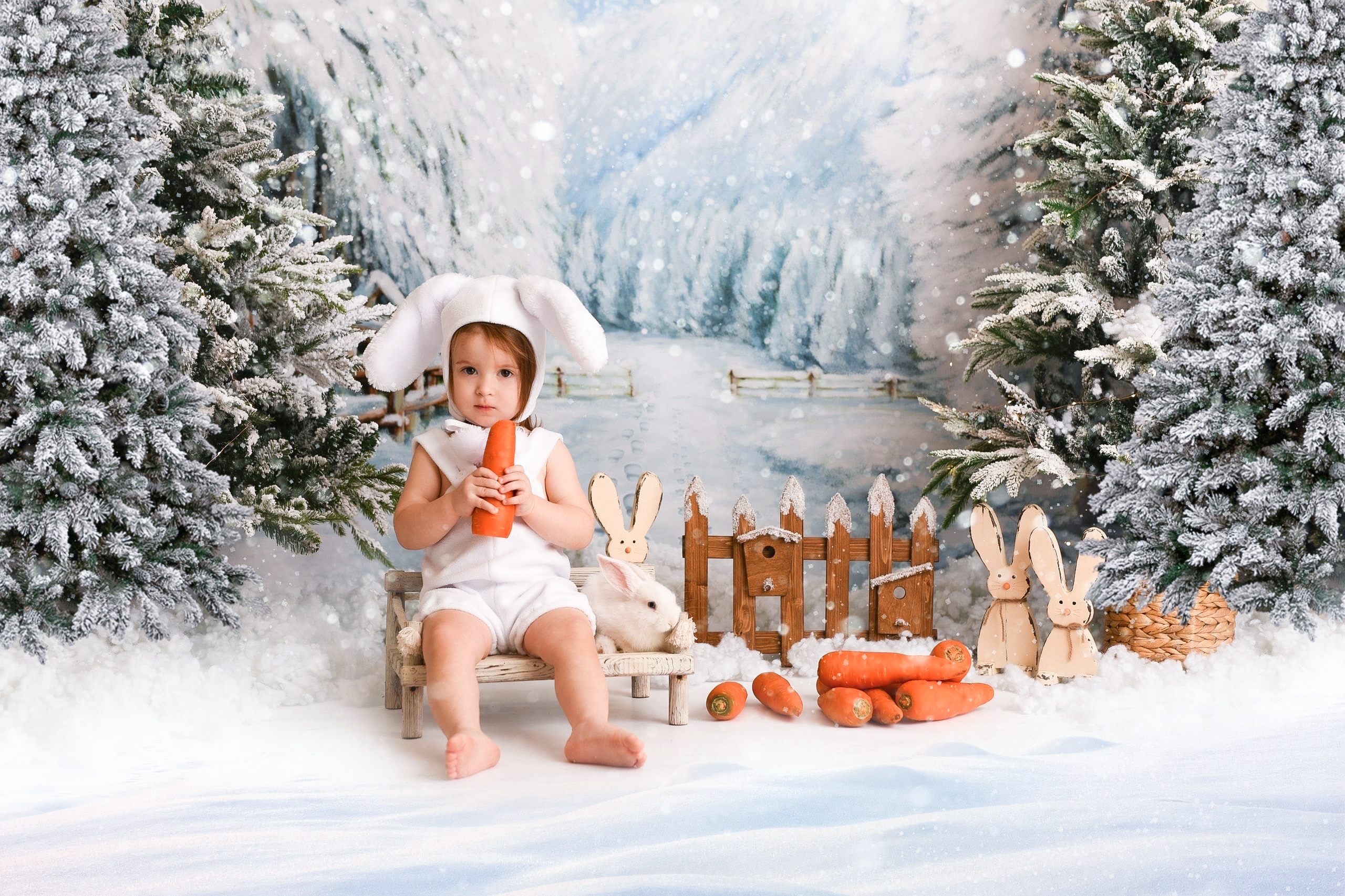 Зимняя Открытка. Семейный и детский фотограф в Красноярске Мила Черкасова