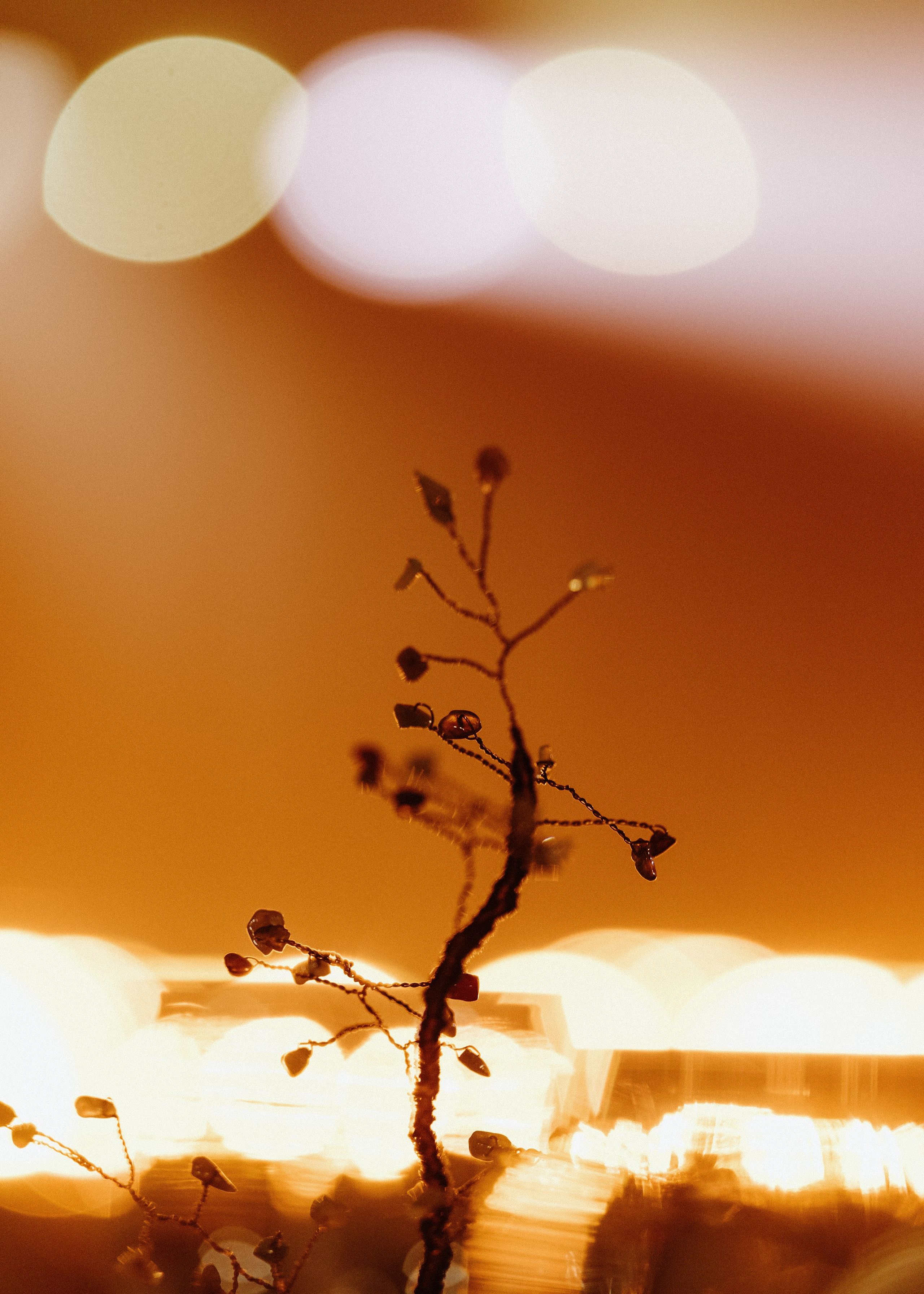 Wedding Awards Северо-Запад. Свадебный и репортажный фотограф в Москве Владимир Сергеев | Naysaikolo