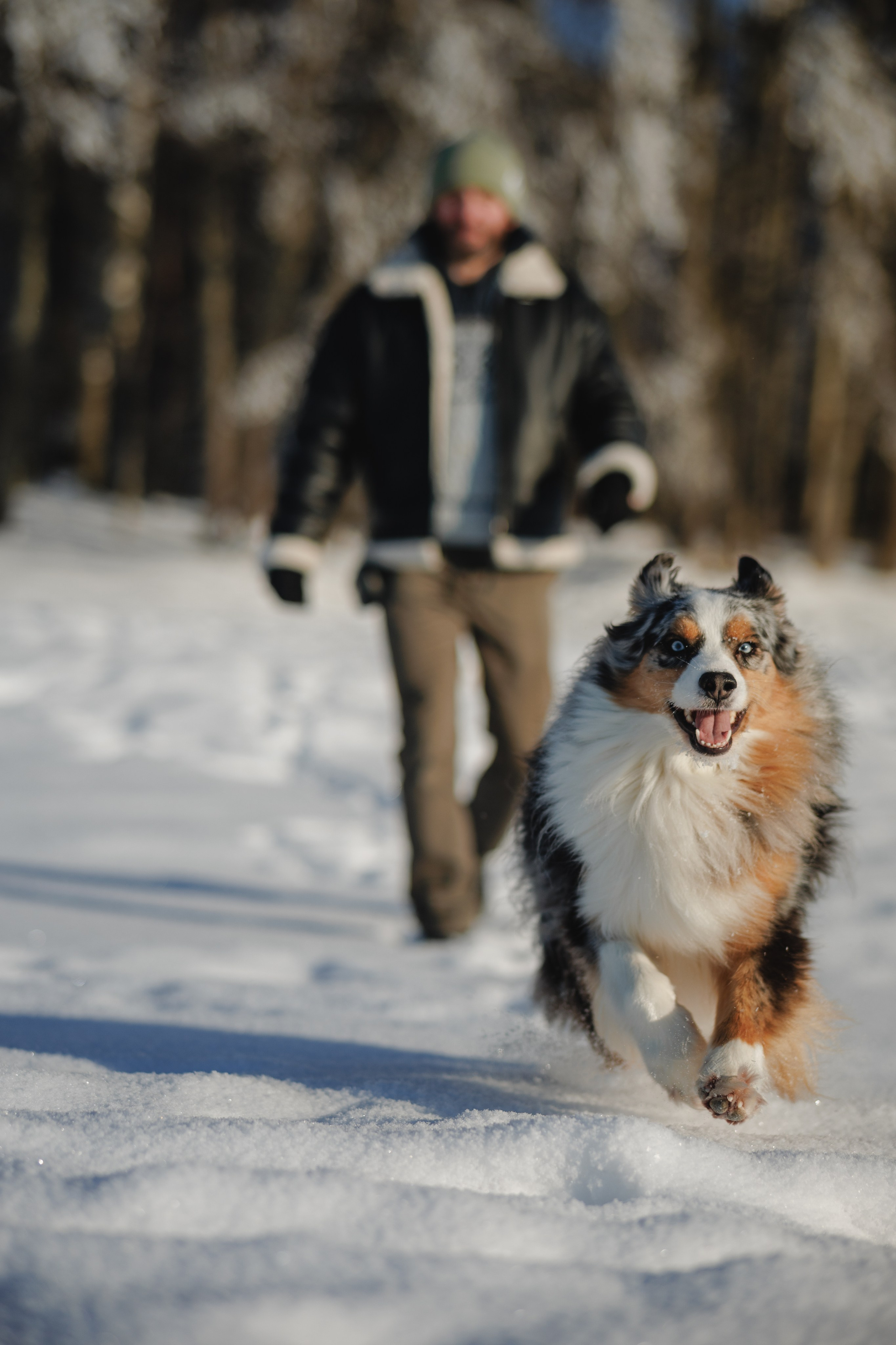 Константин и Локи. Фотограф в Санкт-Петербурге Алёна Губинская