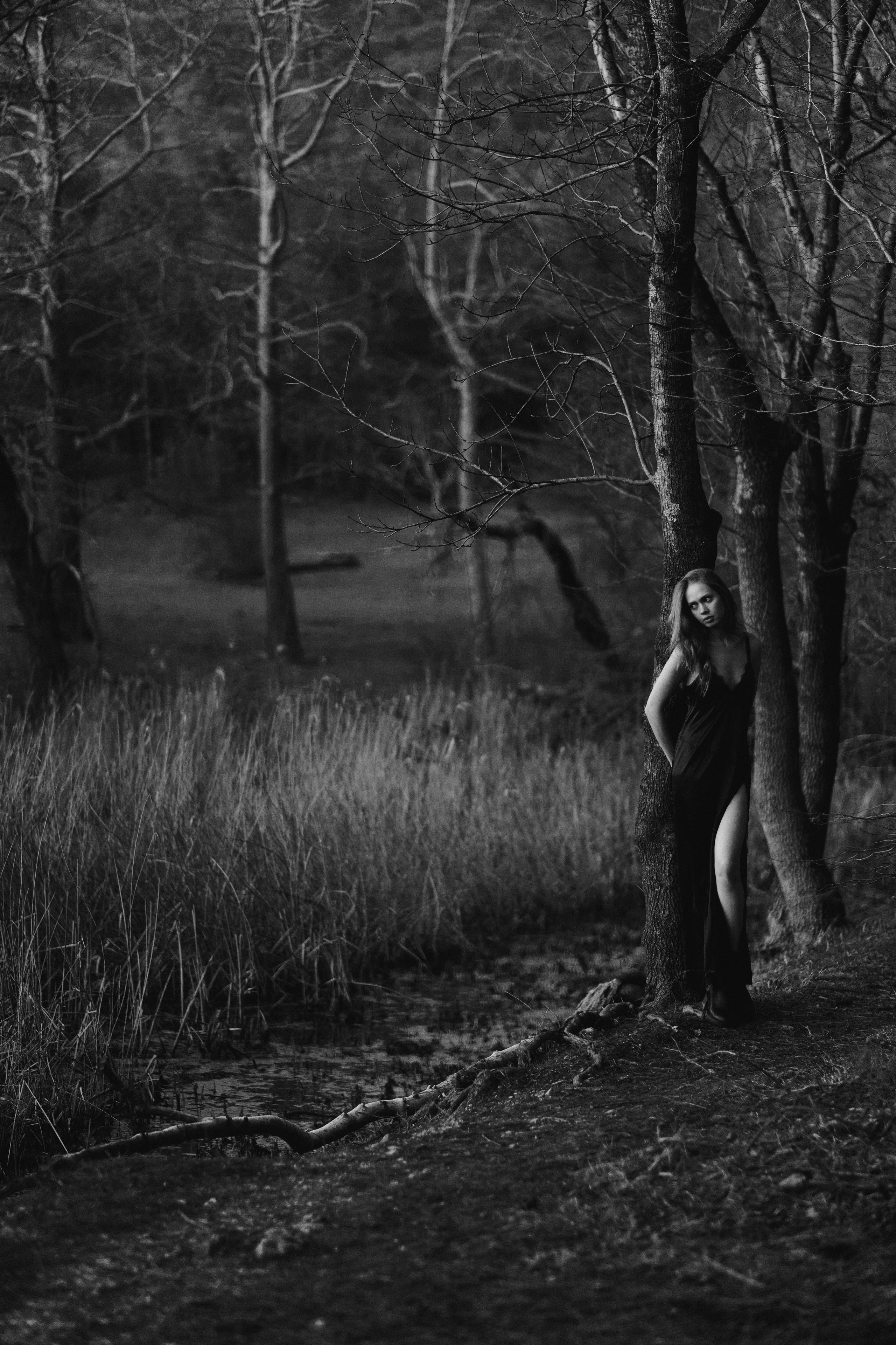 Moonlight. Gerasko Aleks — Портрет, кричащий тишиной