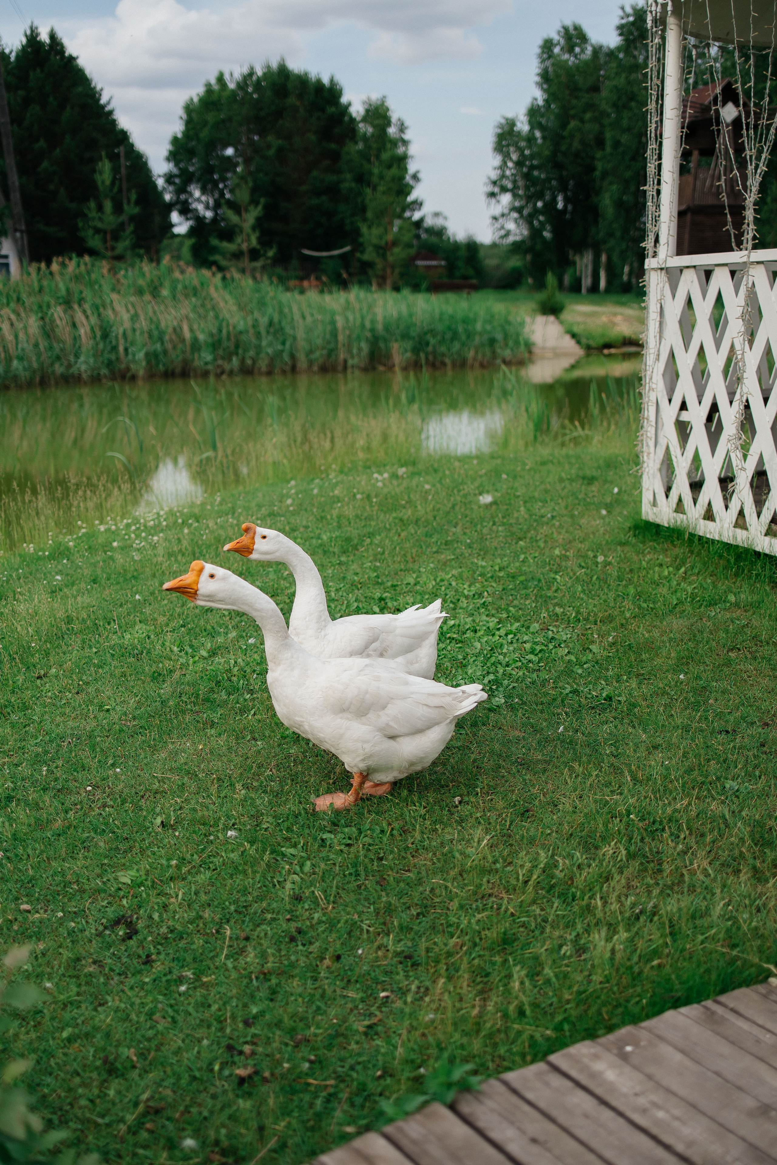 Анастасия&Иван. Ekaterina_ufimtseva_