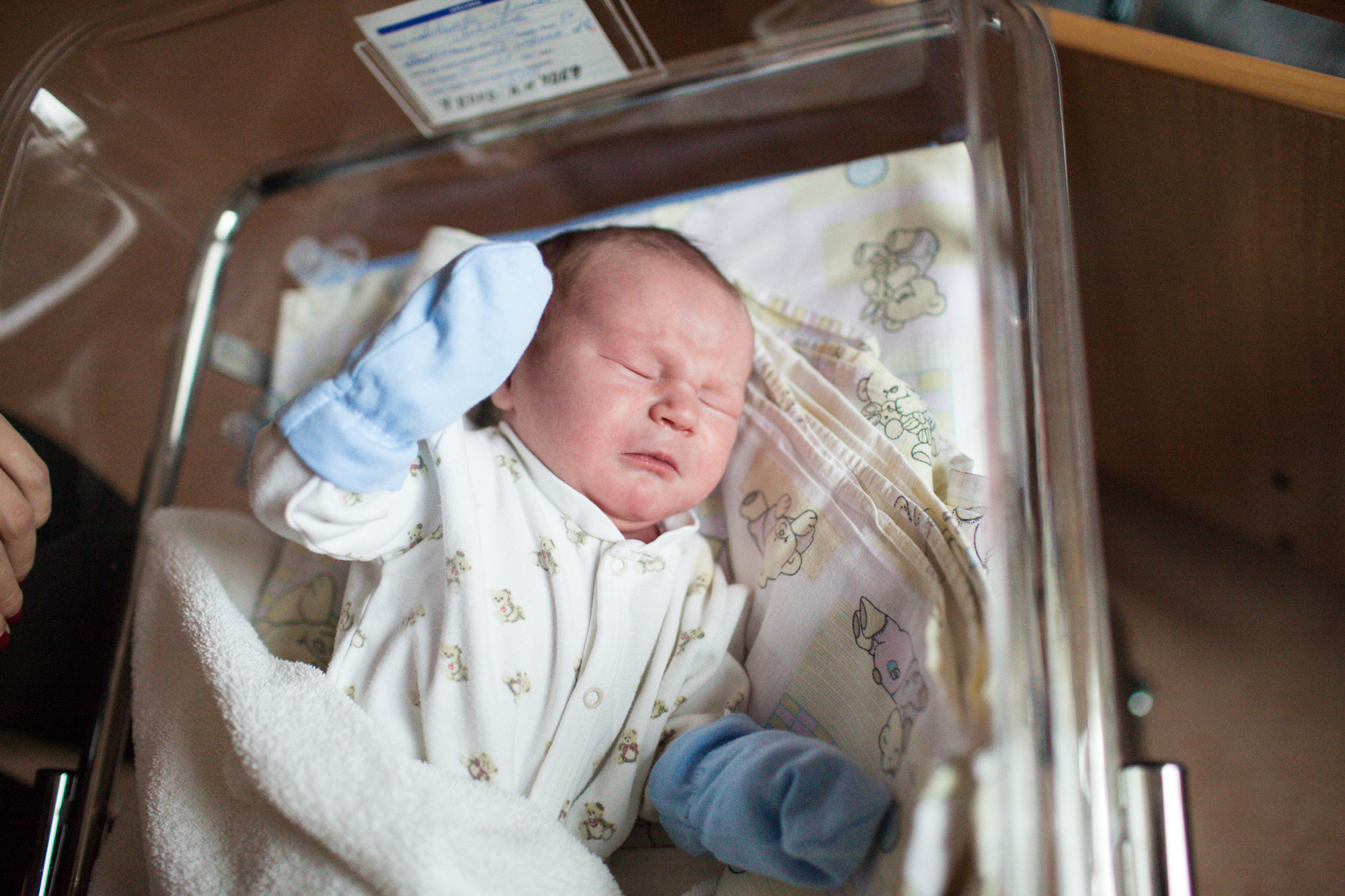 Выписка. Фотограф в Москве Валентина Иванова