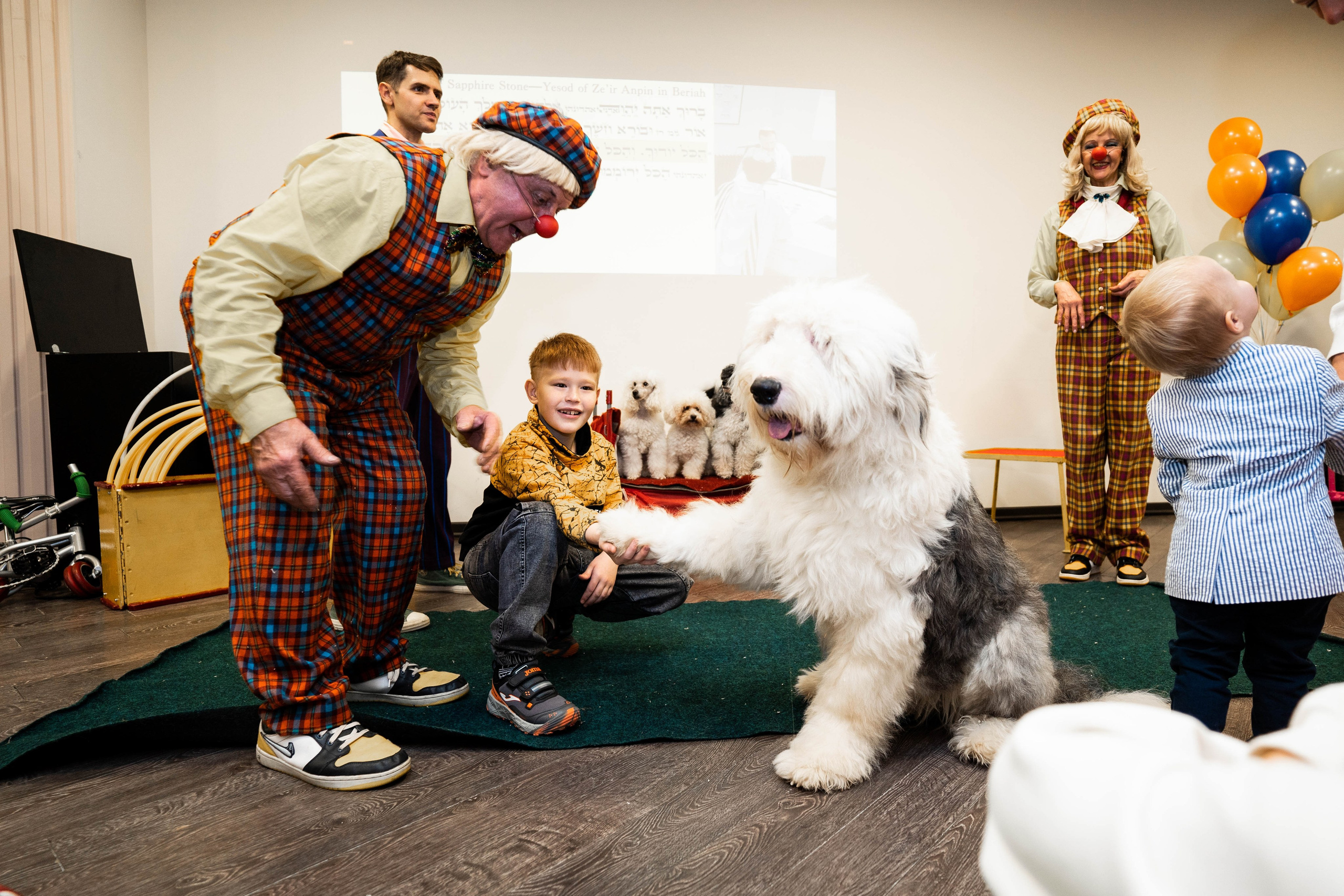 Даниэль h-day. Фотограф Абакумова Анастасия