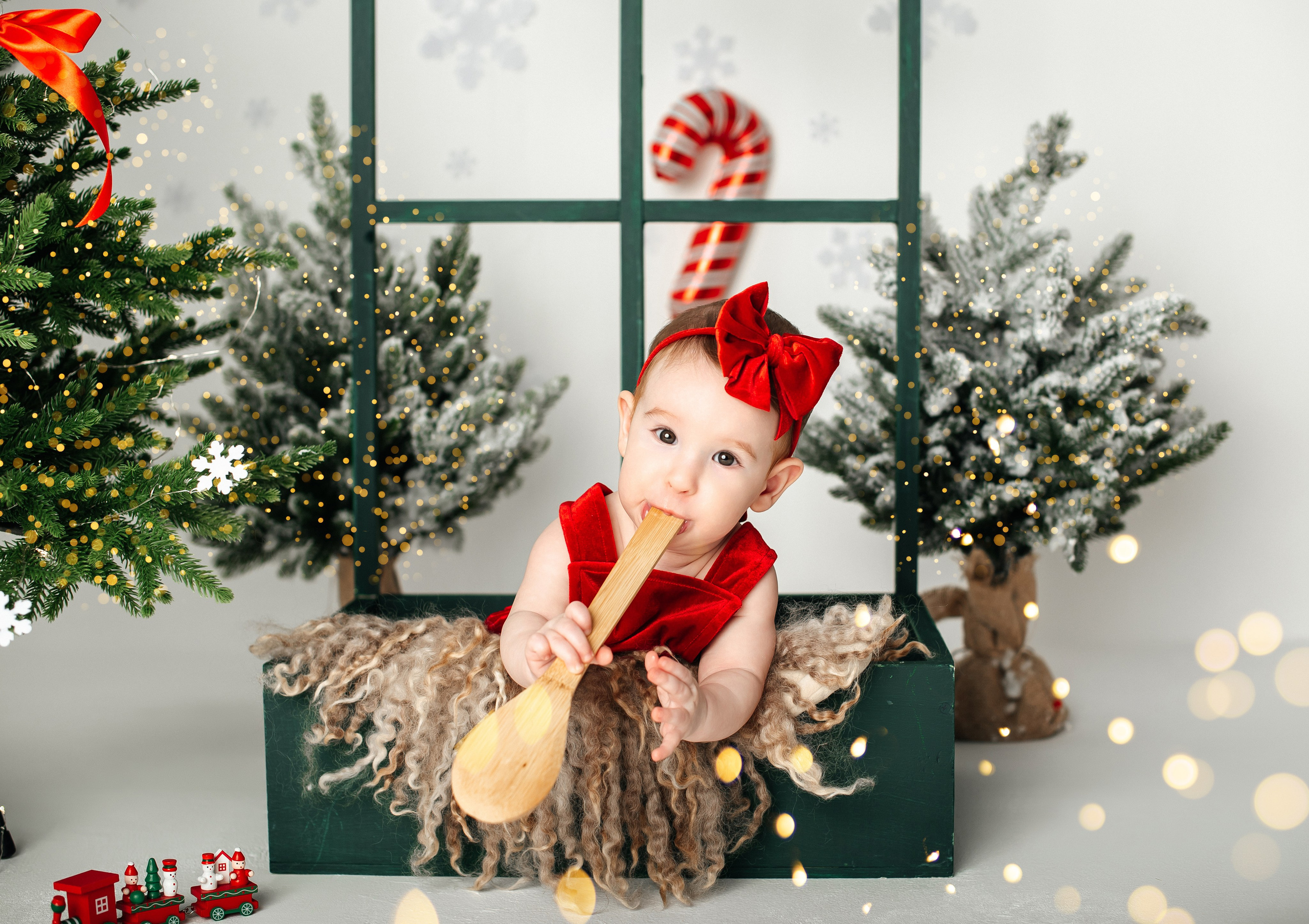 Новый год. Фотограф новорожденных и беременности Сергиев Посад Усачева Ирина