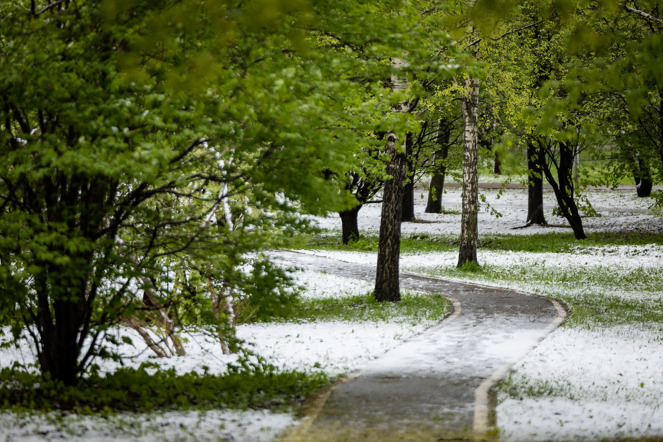 Городской пейзаж. Фотограф Владимир Охрименко
