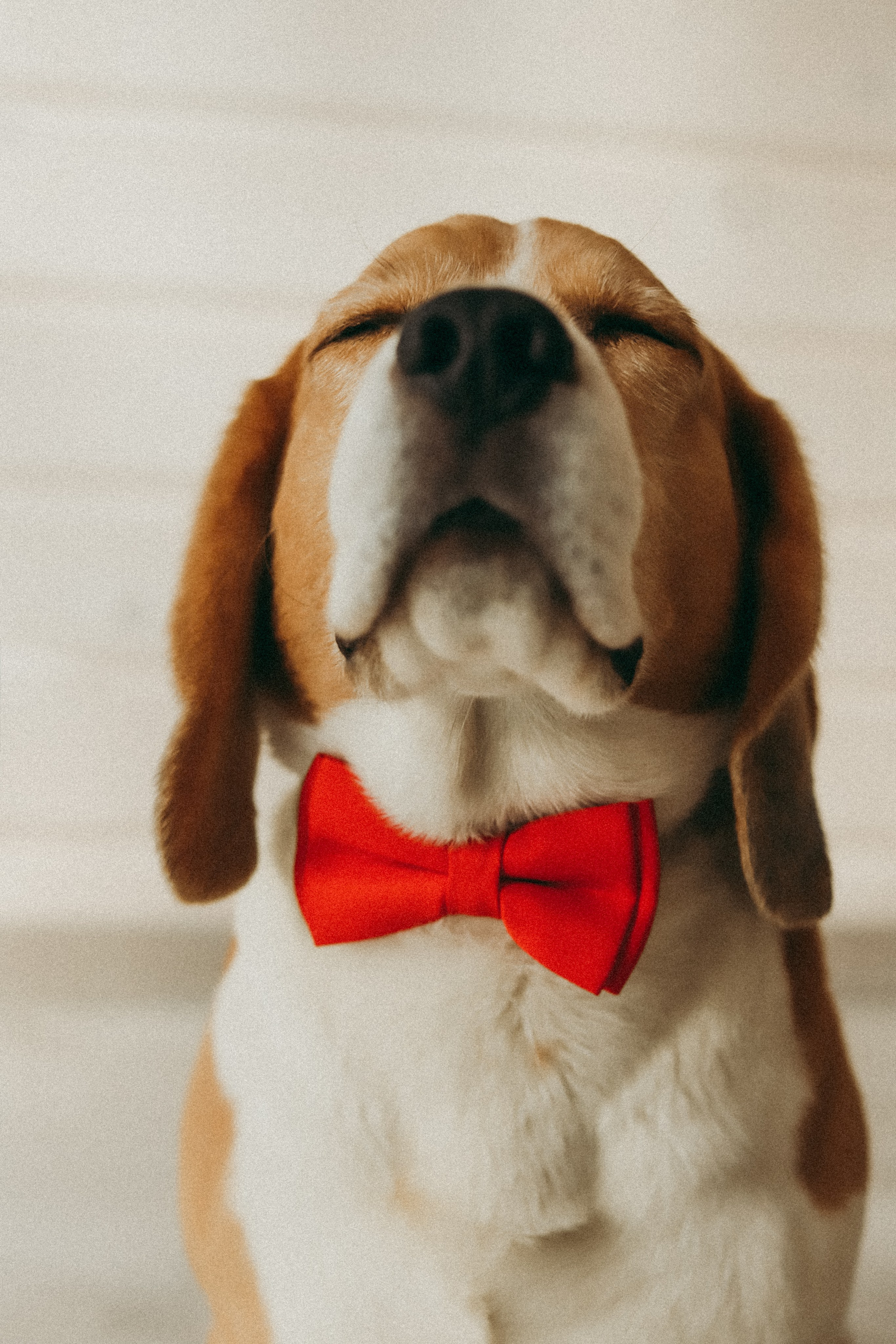 Семейное. Фотограф Москва и Санкт-Петербург