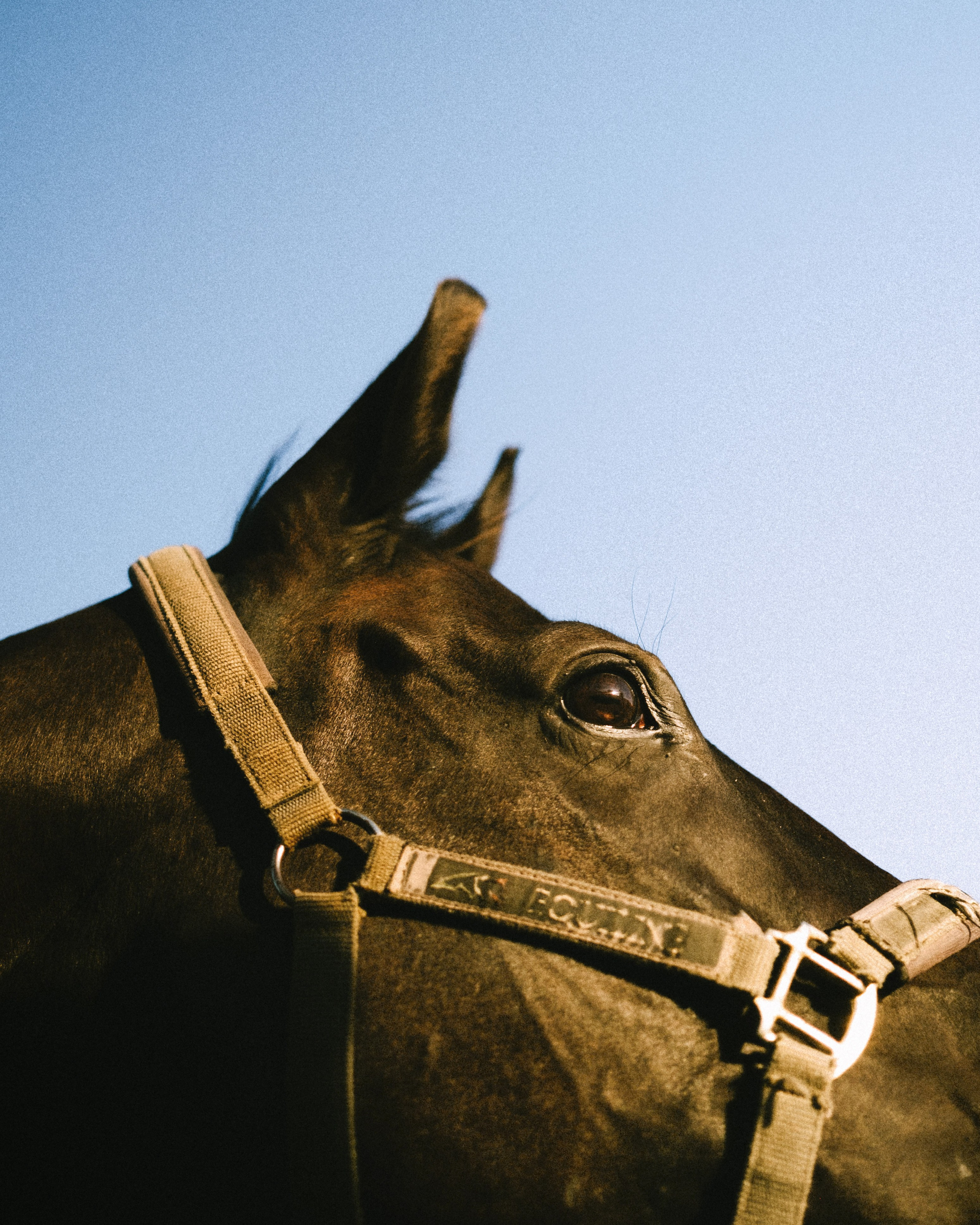 Сева и Маша. Свадебный фотограф в Москве Денис Анурьев