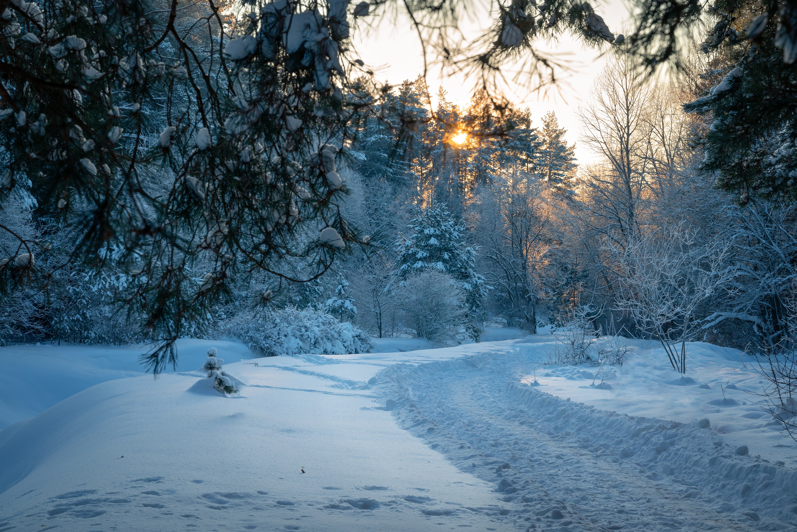 Места. Фотограф в Минске Дарья Кончакова