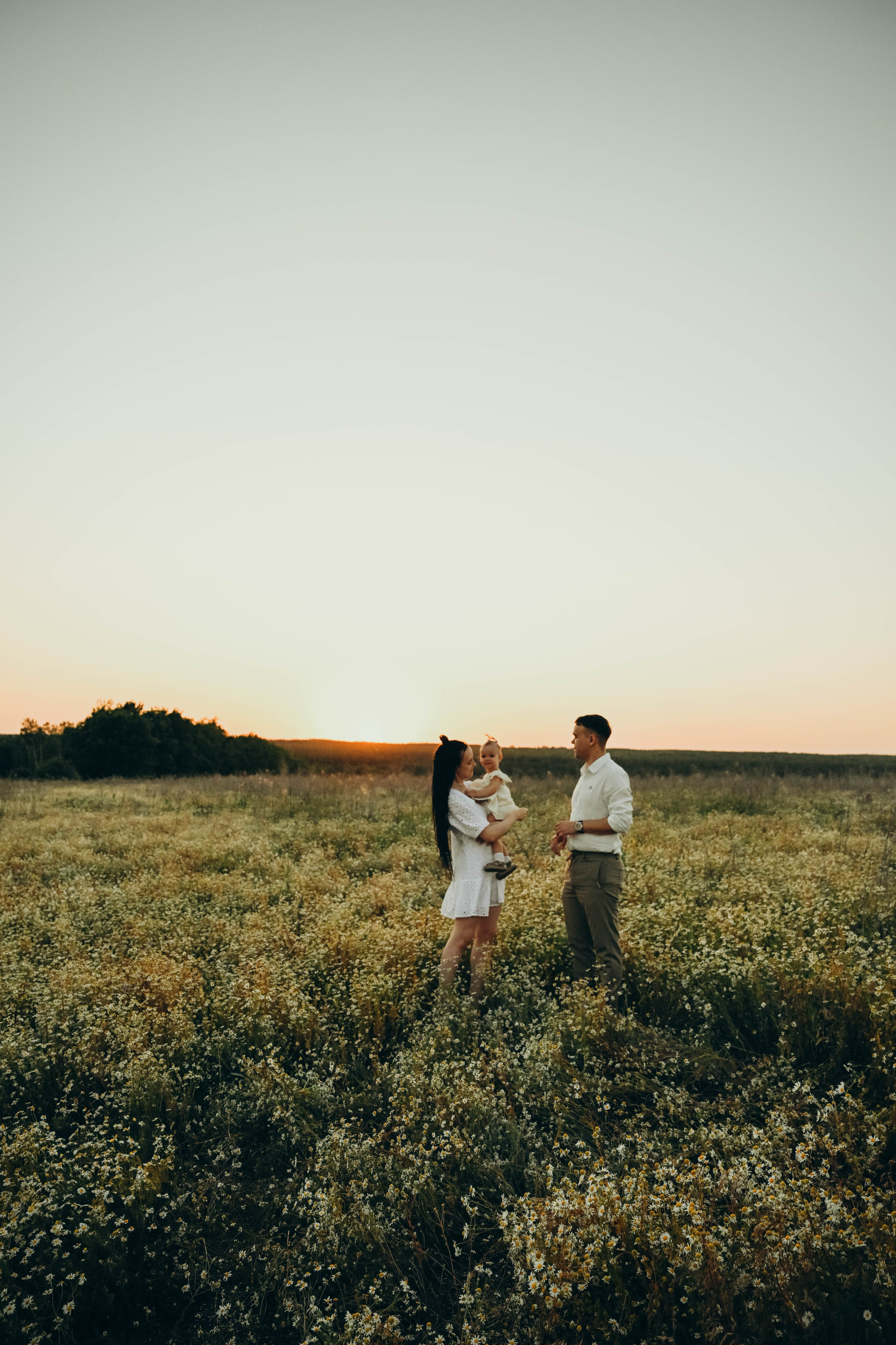 Ромашковое поле. Семейный фотограф в Москве Люберцах Ирина Вронская