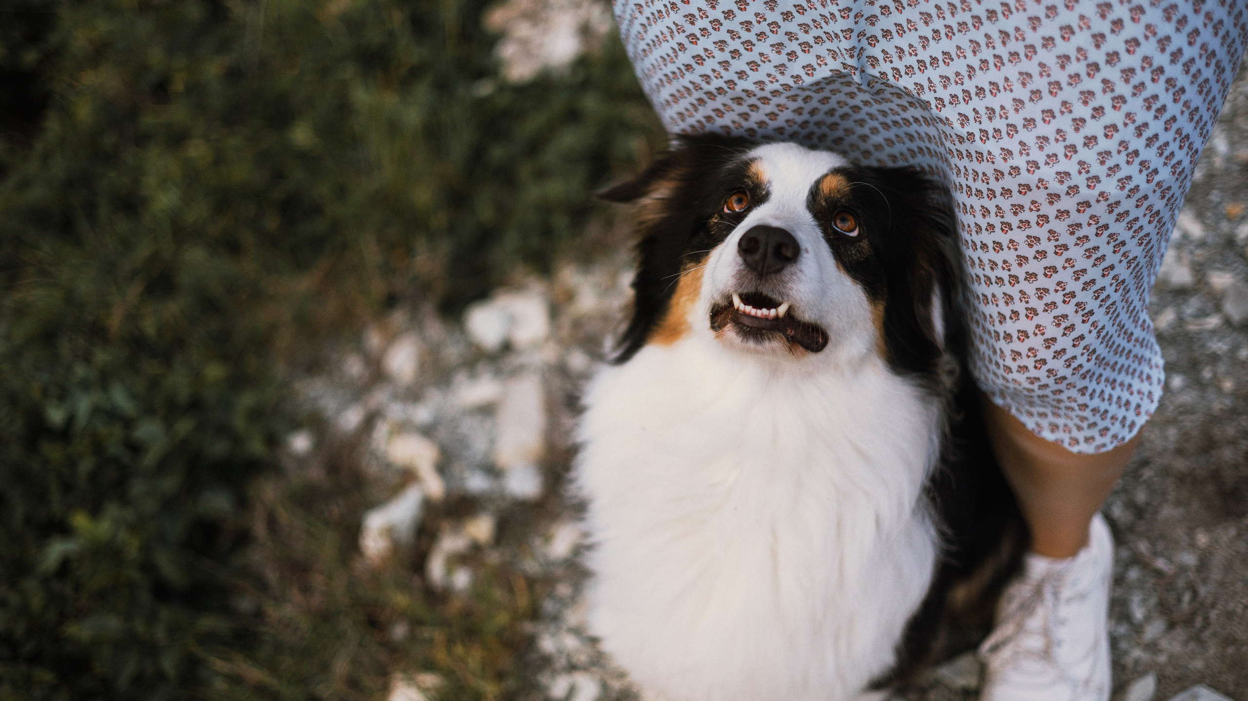 Ира и Джесс. Фотограф-анималист Богданова Полина