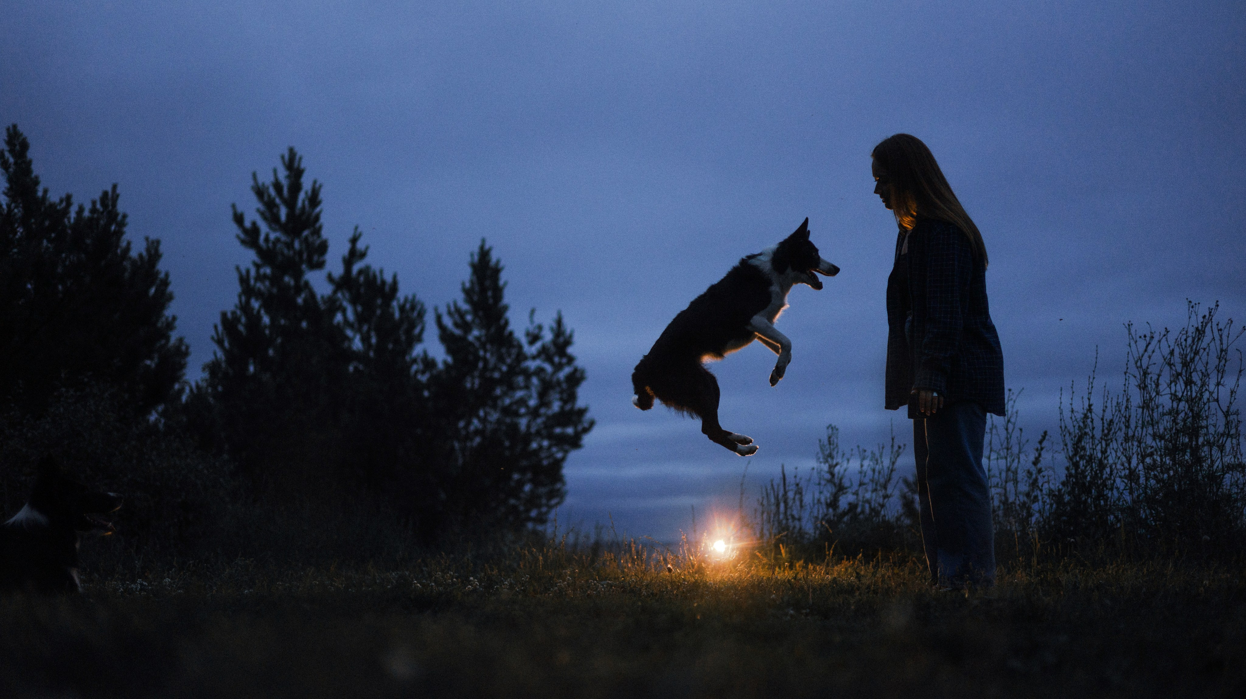 Аделя, Вандер, Шайна и Бая. Фотограф-анималист Богданова Полина