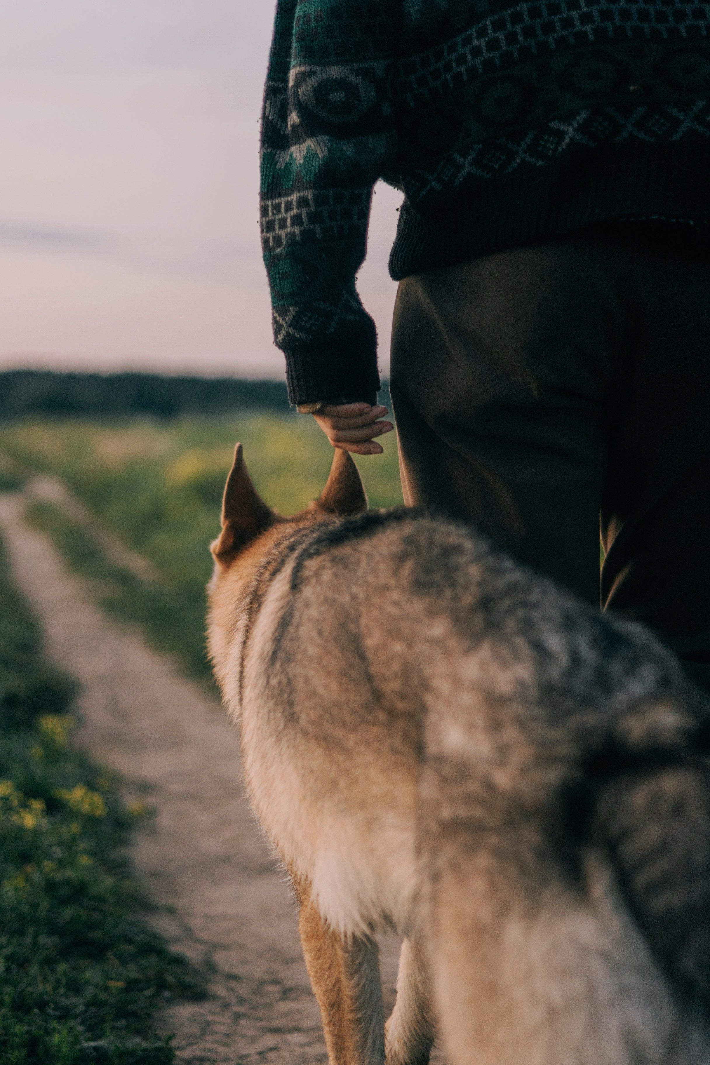 Маша и Дэрил. Фотограф-анималист Богданова Полина