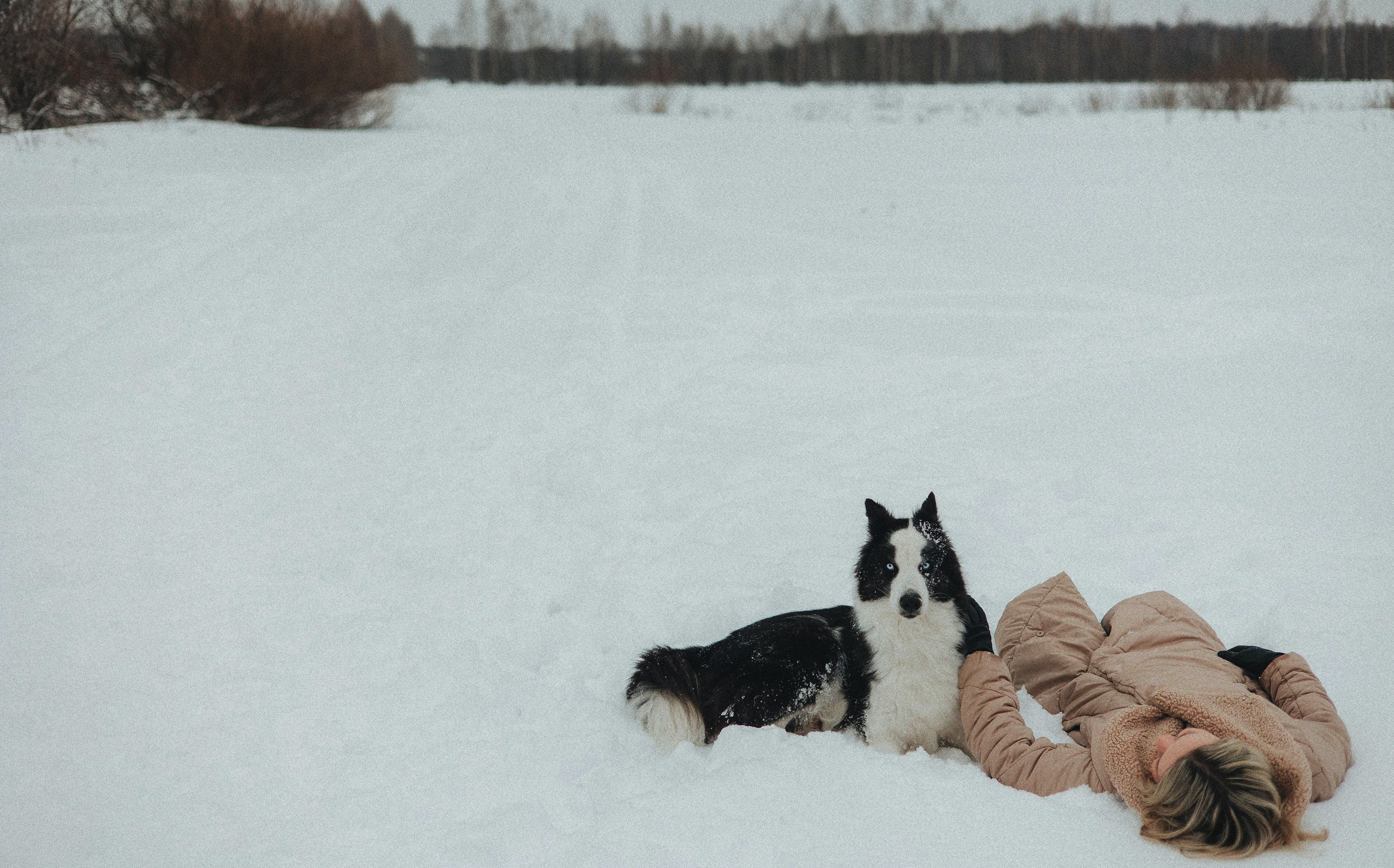 Анна и Тео. Фотограф-анималист Богданова Полина