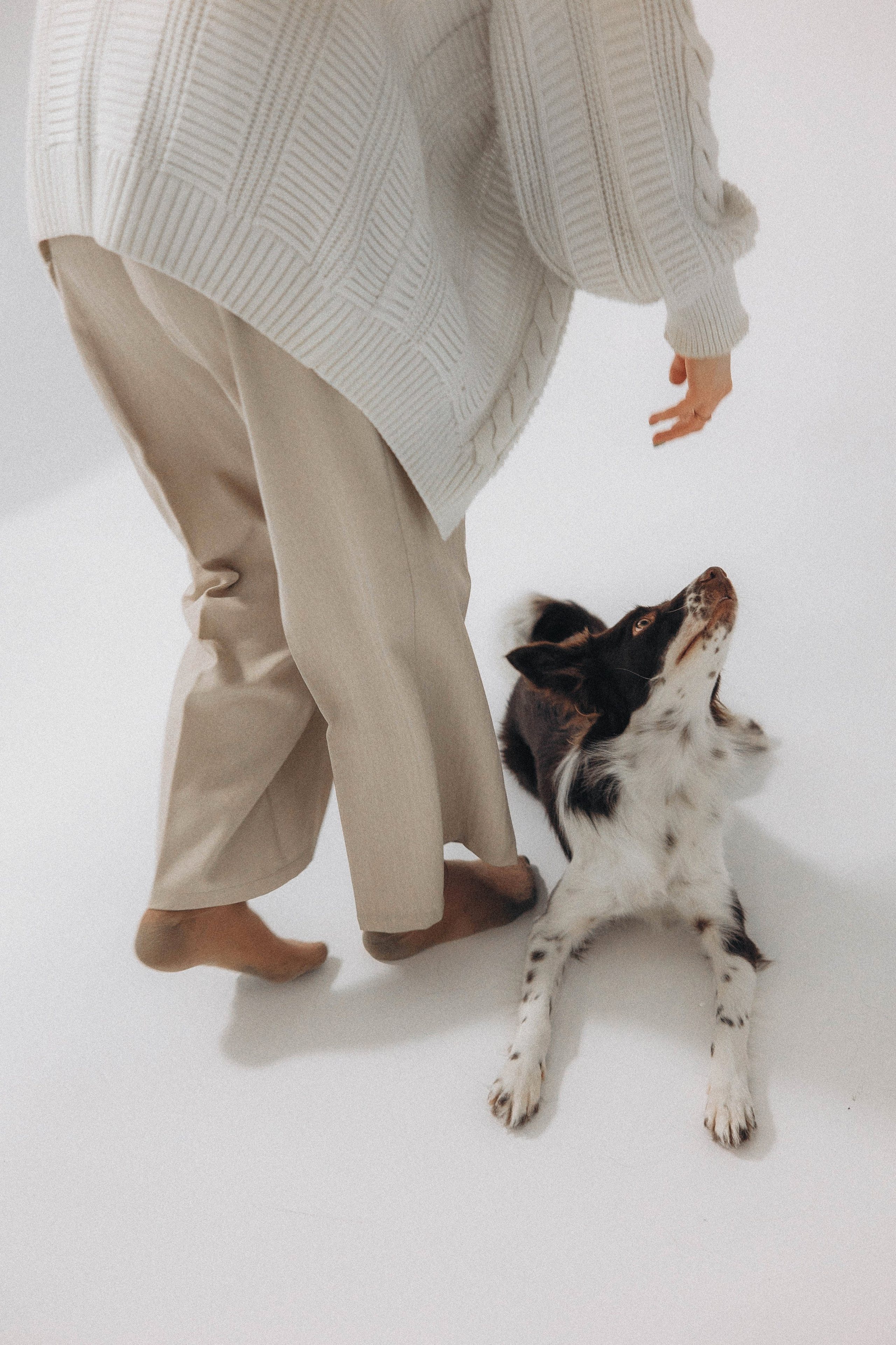 Алена и Гвендолин. Фотограф-анималист Богданова Полина