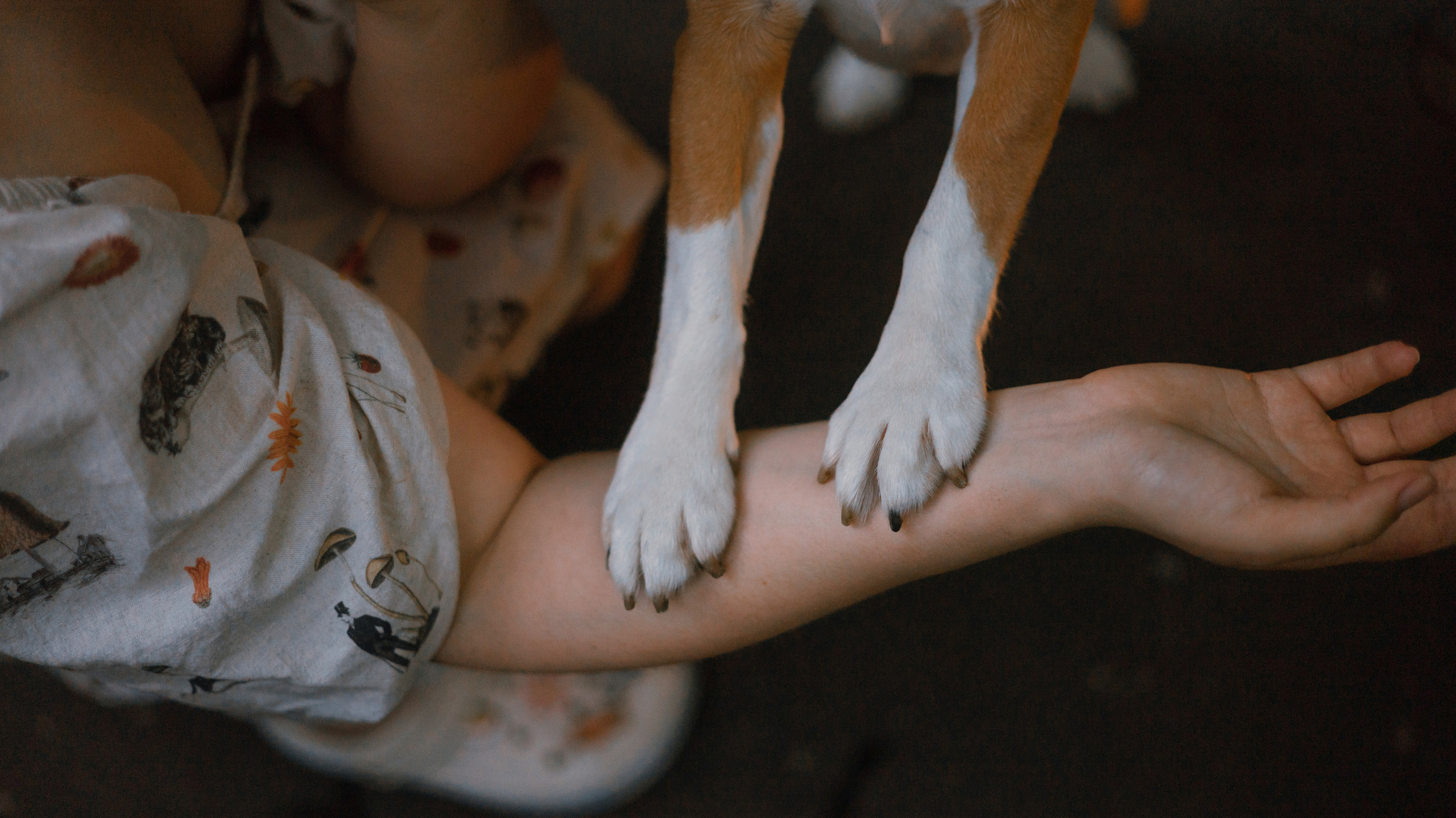 Лиза и Сара. Фотограф-анималист Богданова Полина