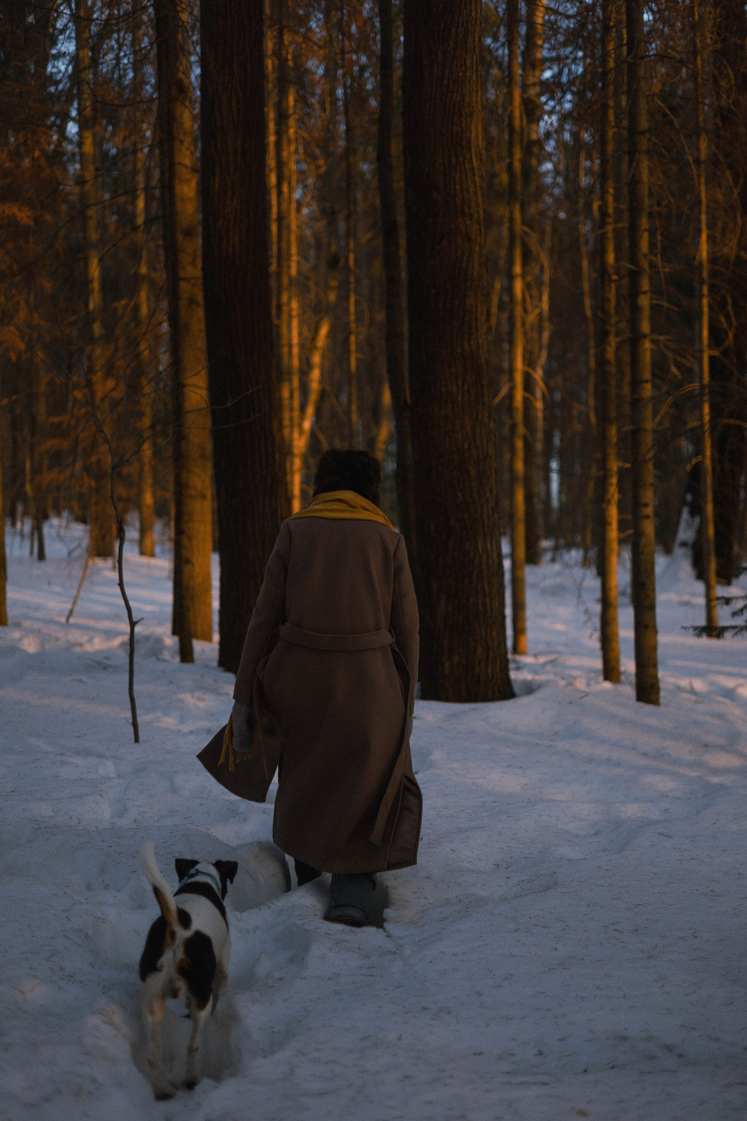 Ольга и Сэм. Фотограф-анималист Богданова Полина