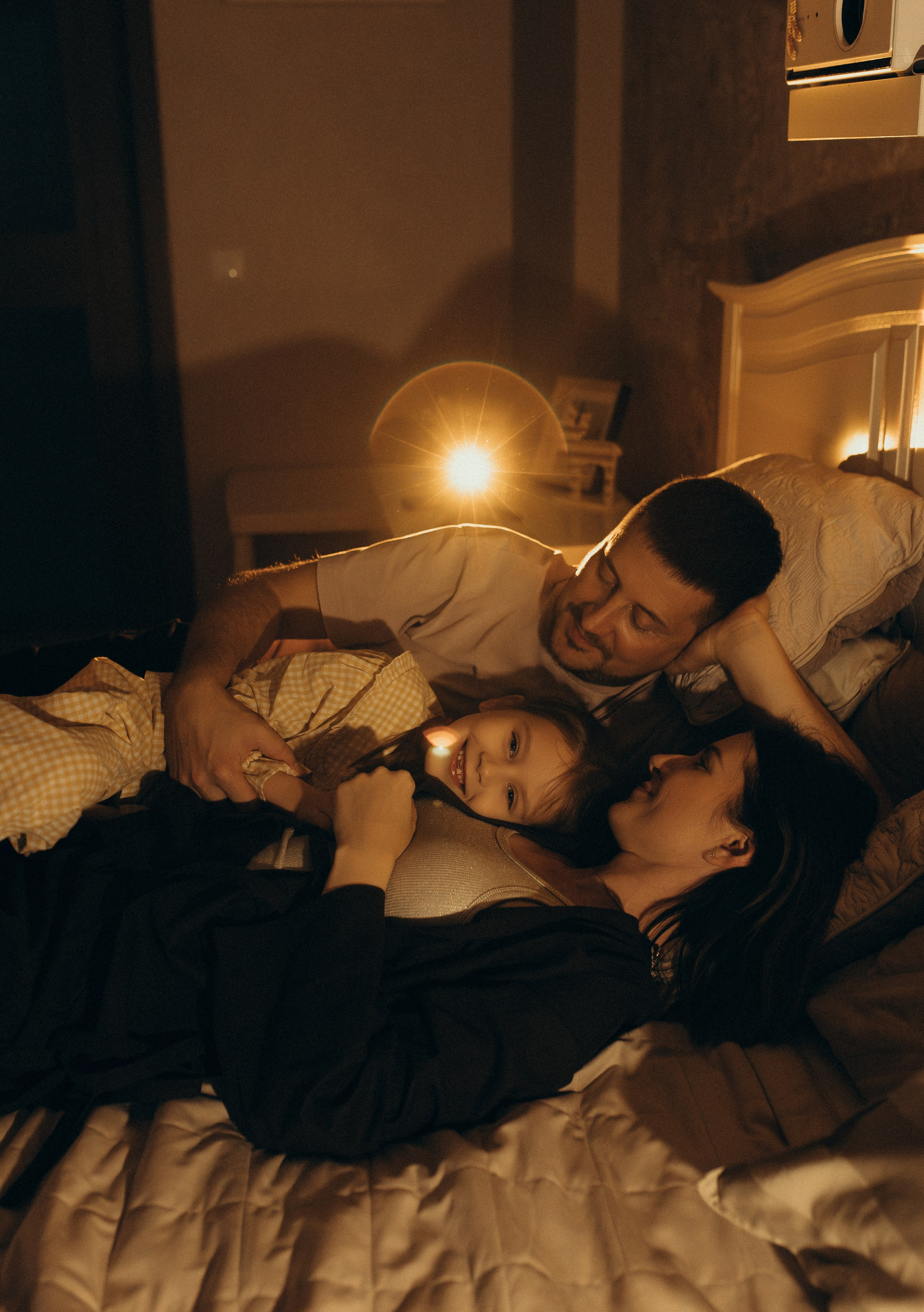 Домашняя история. Meryfotoidea