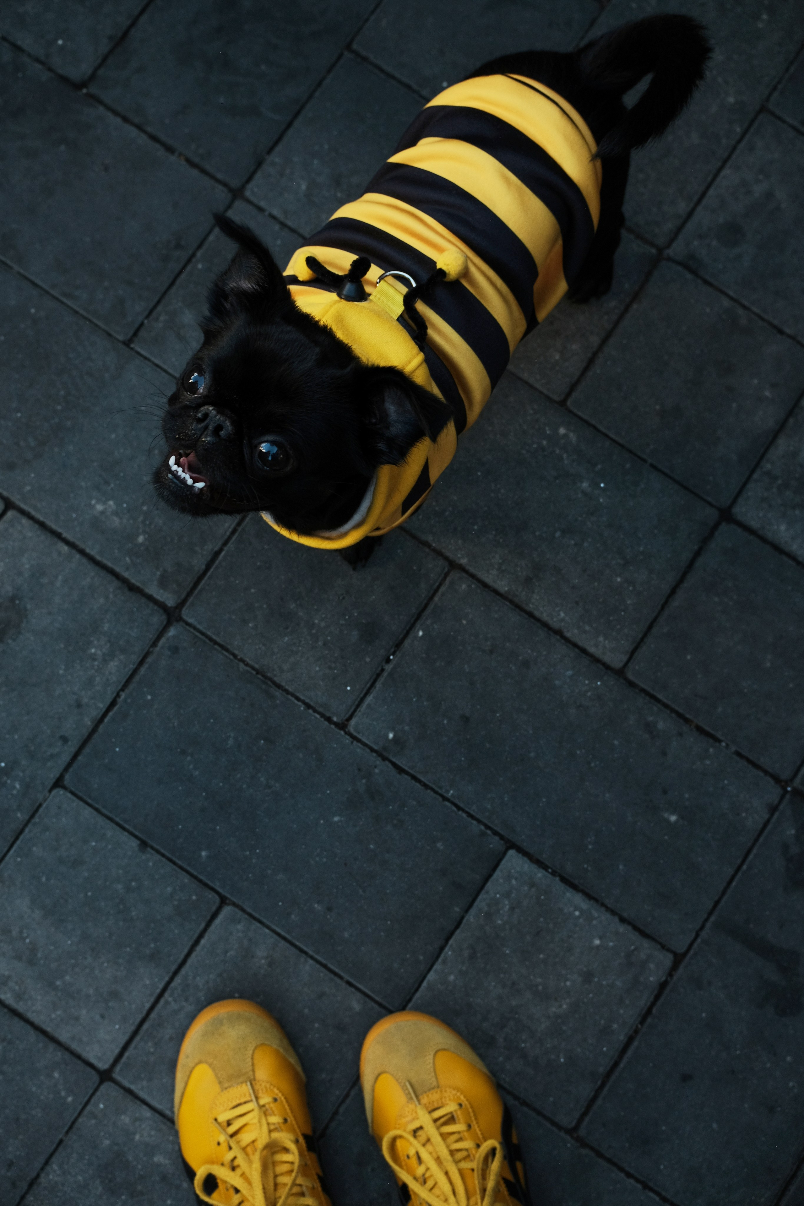 Rostov-on-Don. Creative travel photographer — Berg Daria