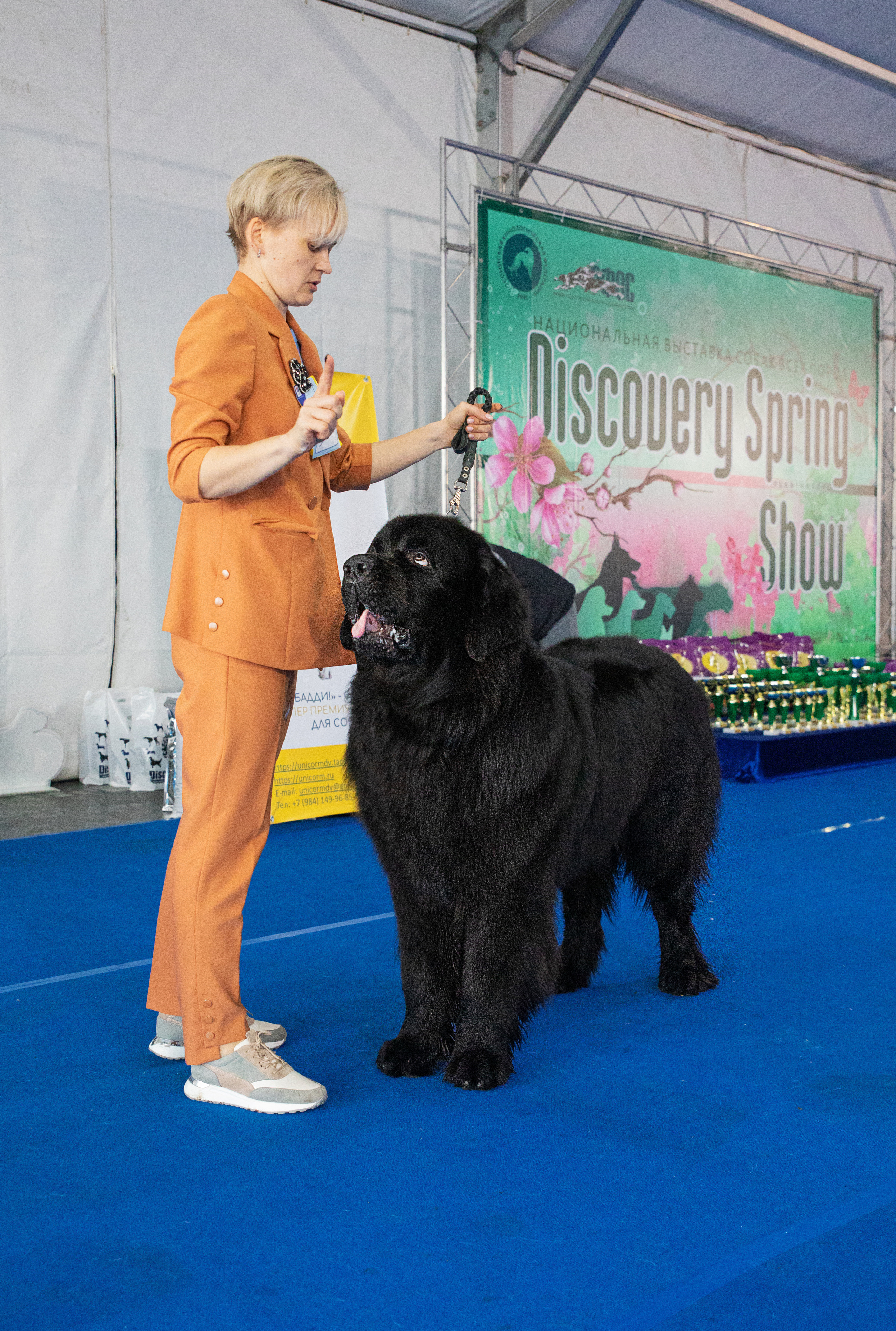Друзья наши меньшие. Семейный и частный фотограф во Владивостоке