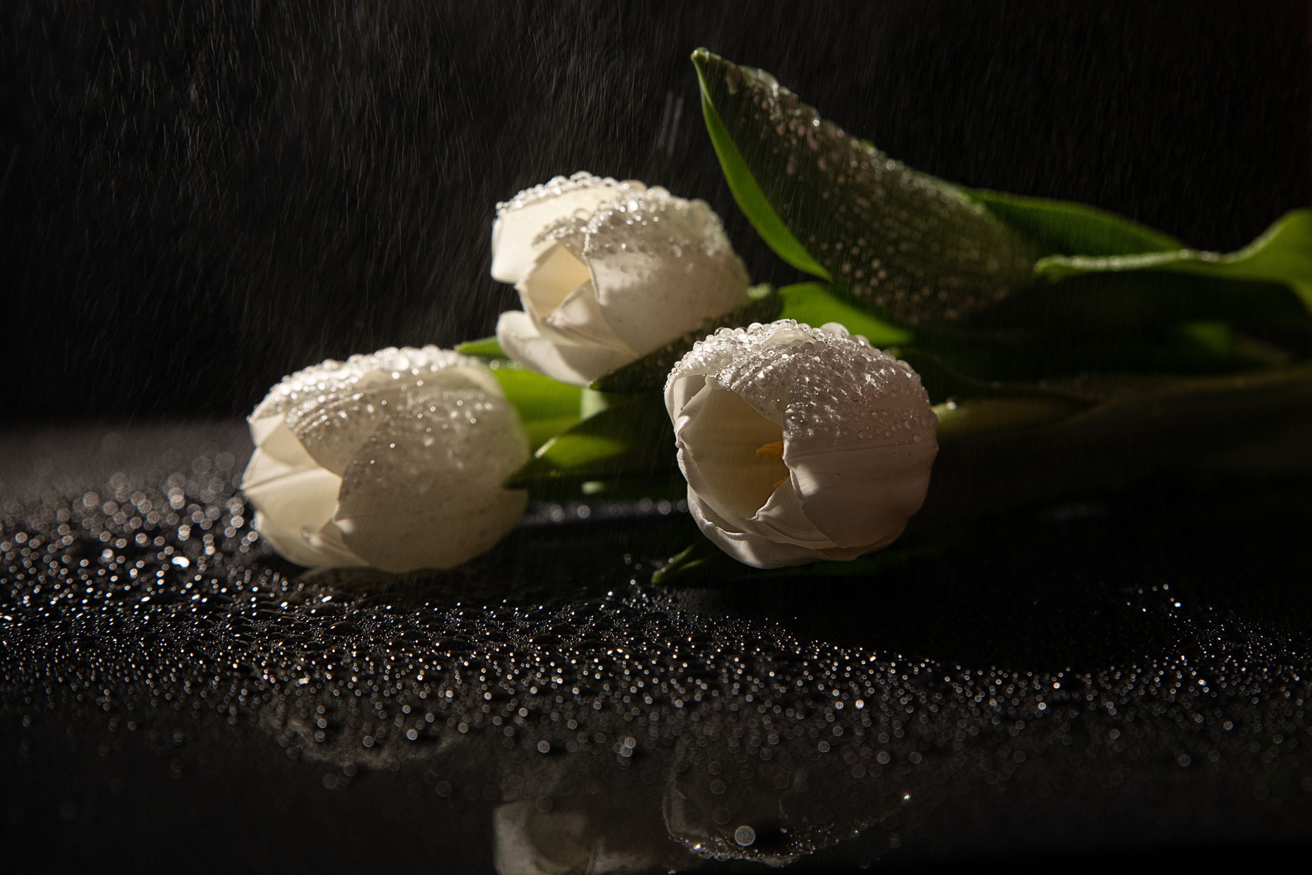 Предметная. Семейный и частный фотограф во Владивостоке