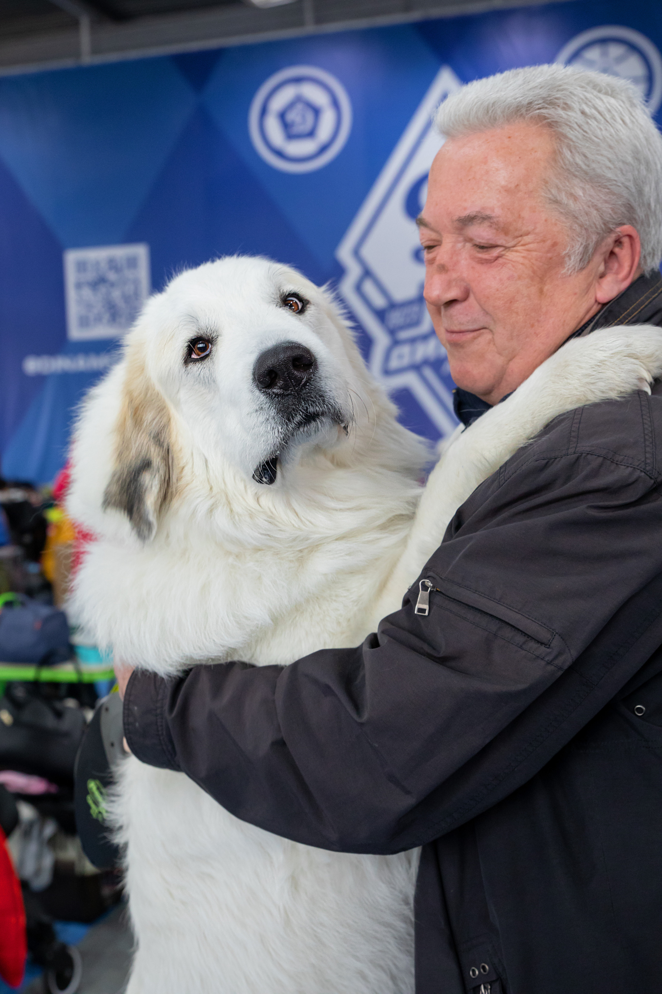 Друзья наши меньшие. Семейный и частный фотограф во Владивостоке